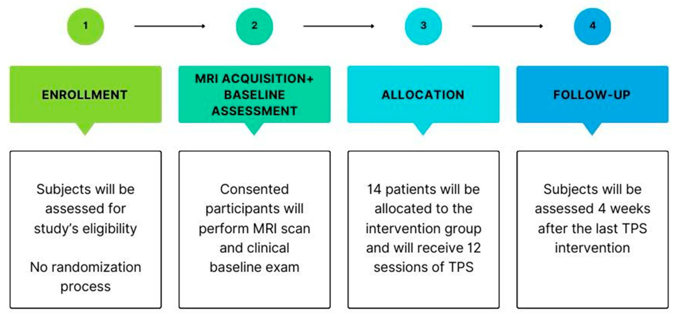 Bioengineering 12 00773 g001