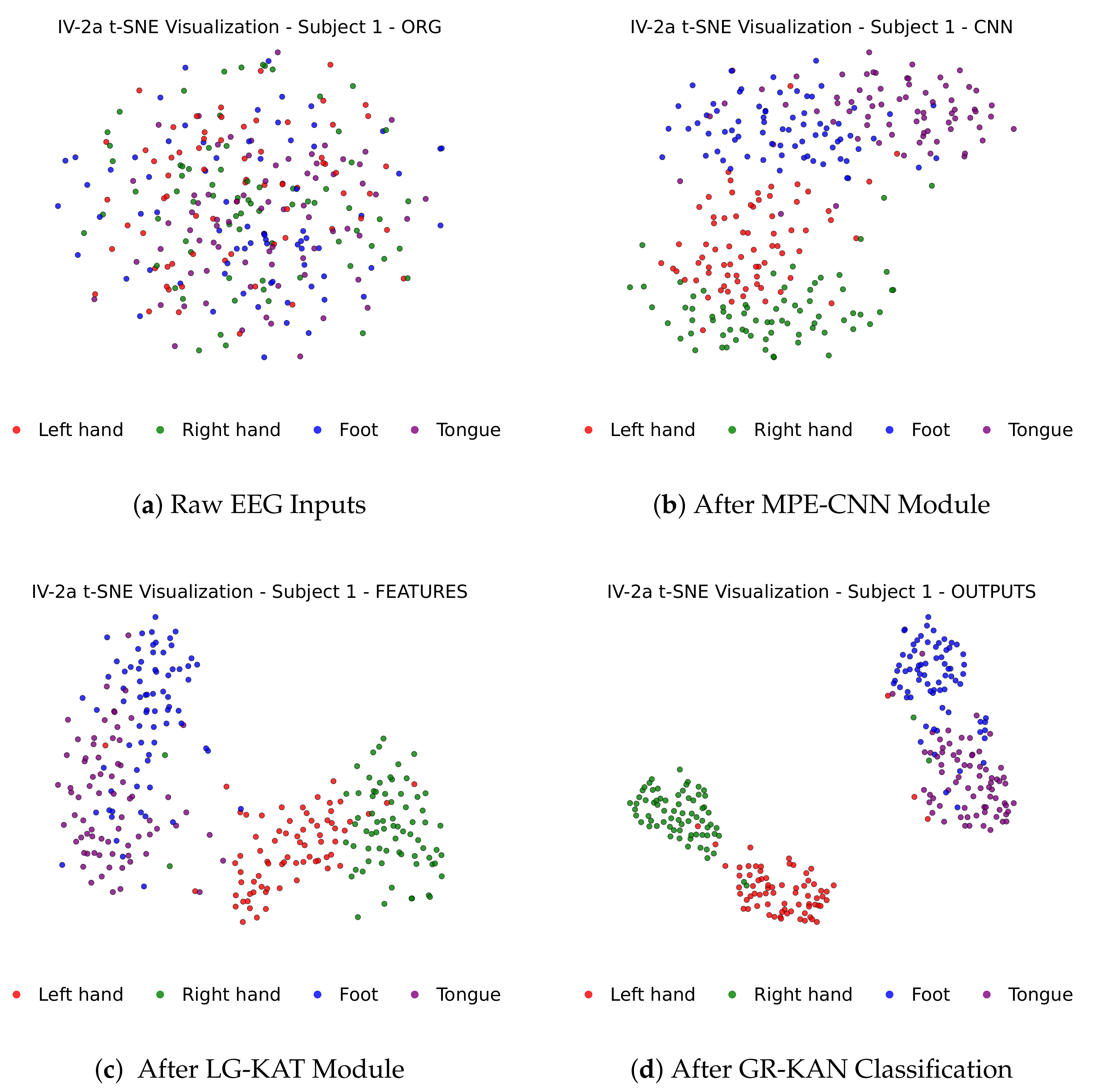 Bioengineering 12 00775 g004