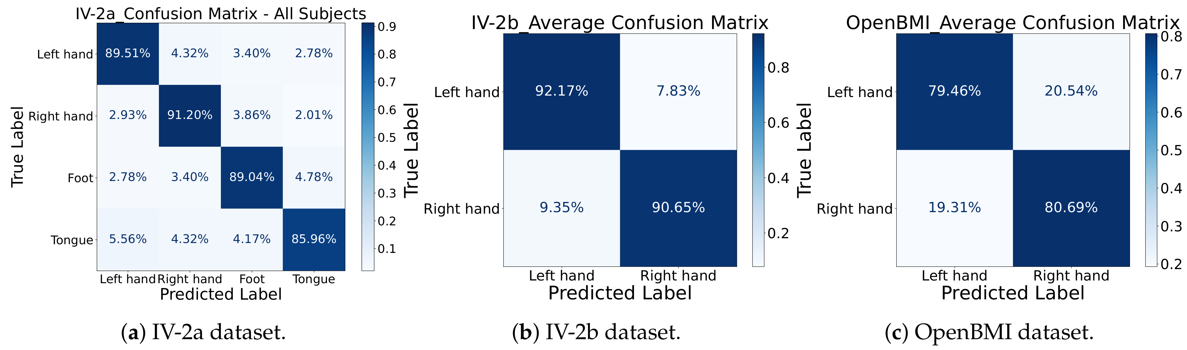 Bioengineering 12 00775 g007