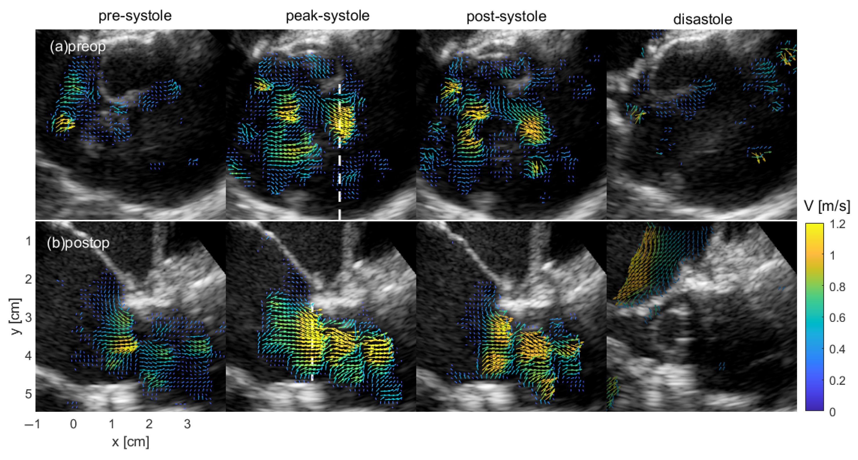 Bioengineering 12 00776 g002