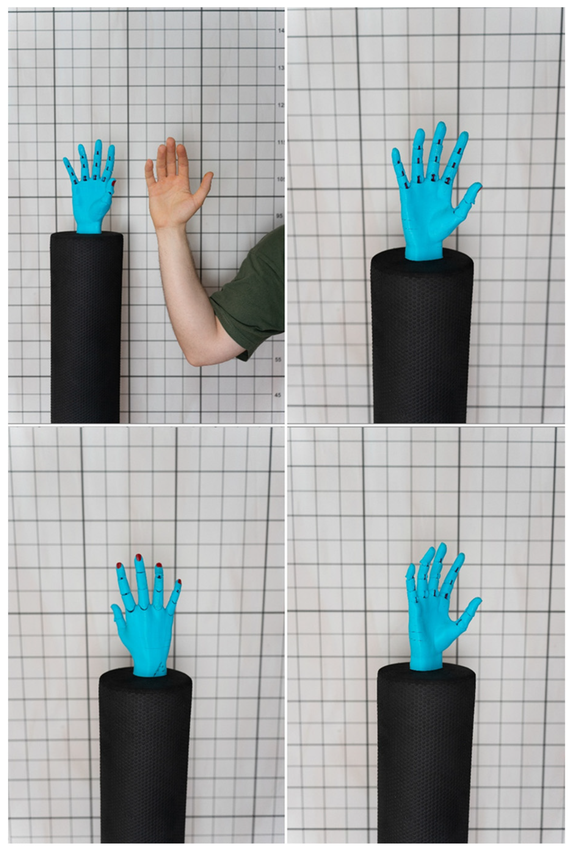 Bioengineering 12 00777 g003