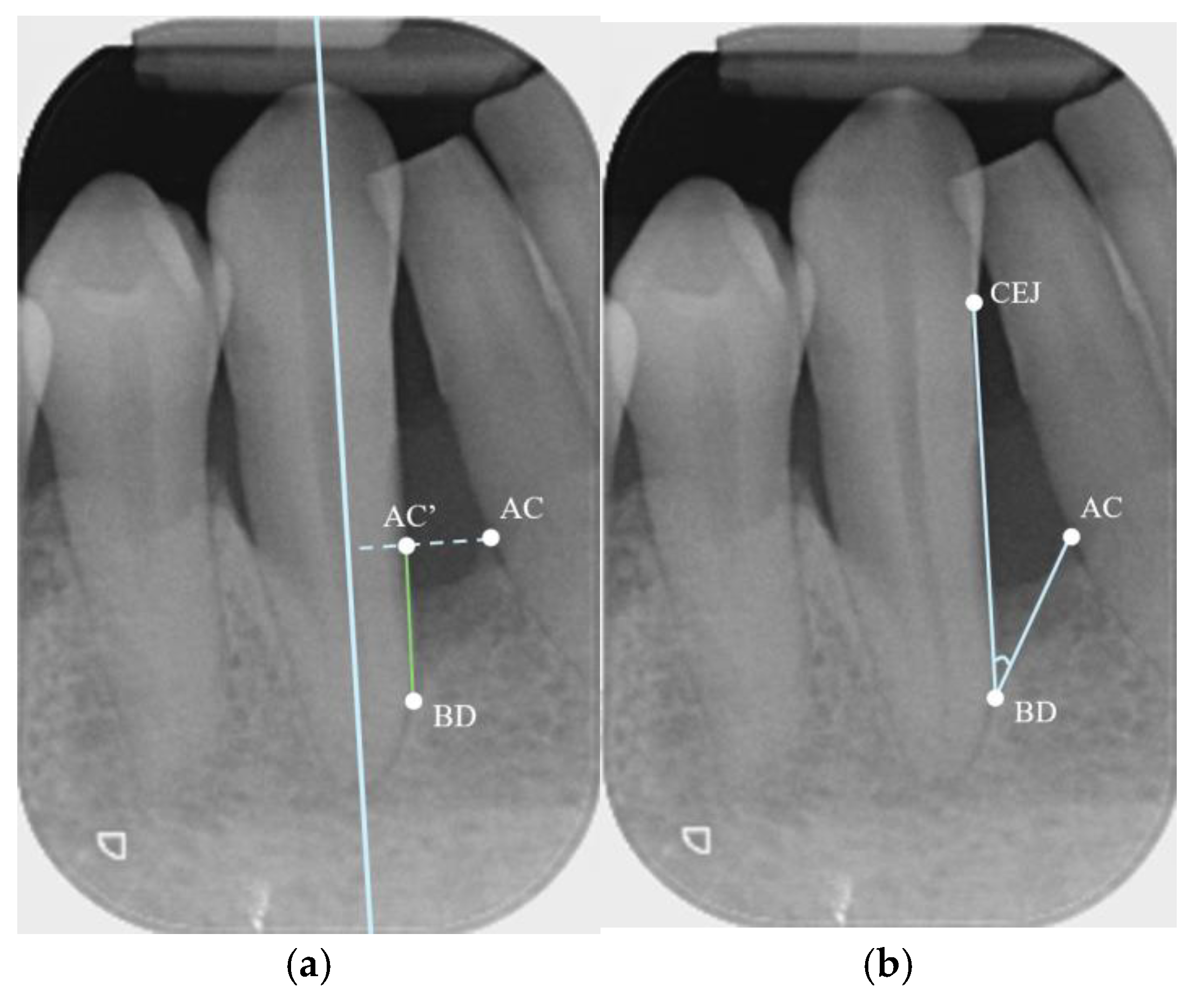 Bioengineering 12 00780 g002