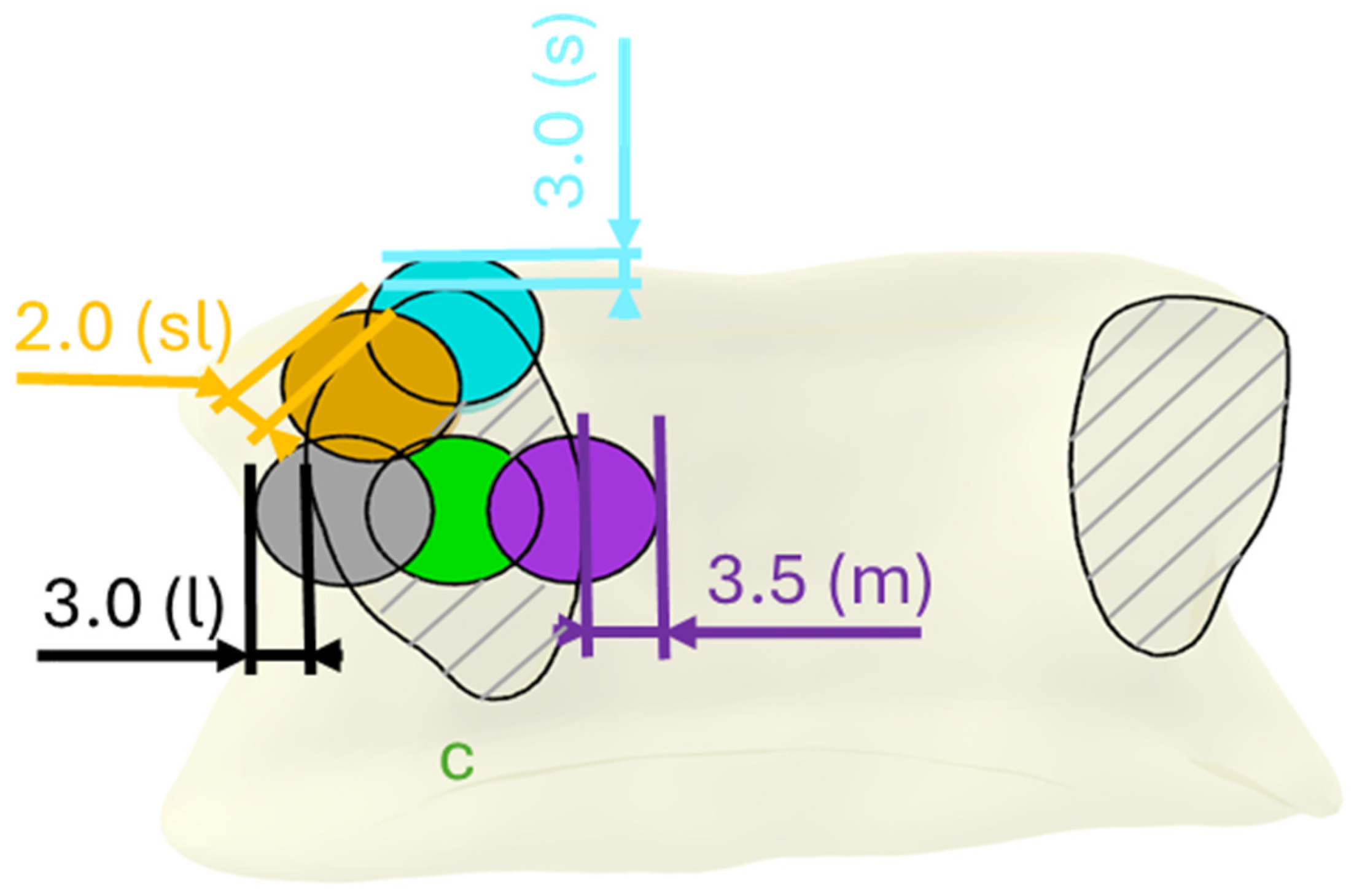 Bioengineering 12 00781 g001