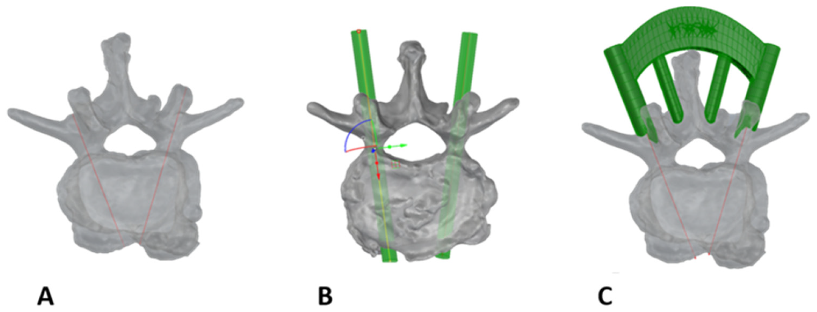 Bioengineering 12 00781 g002