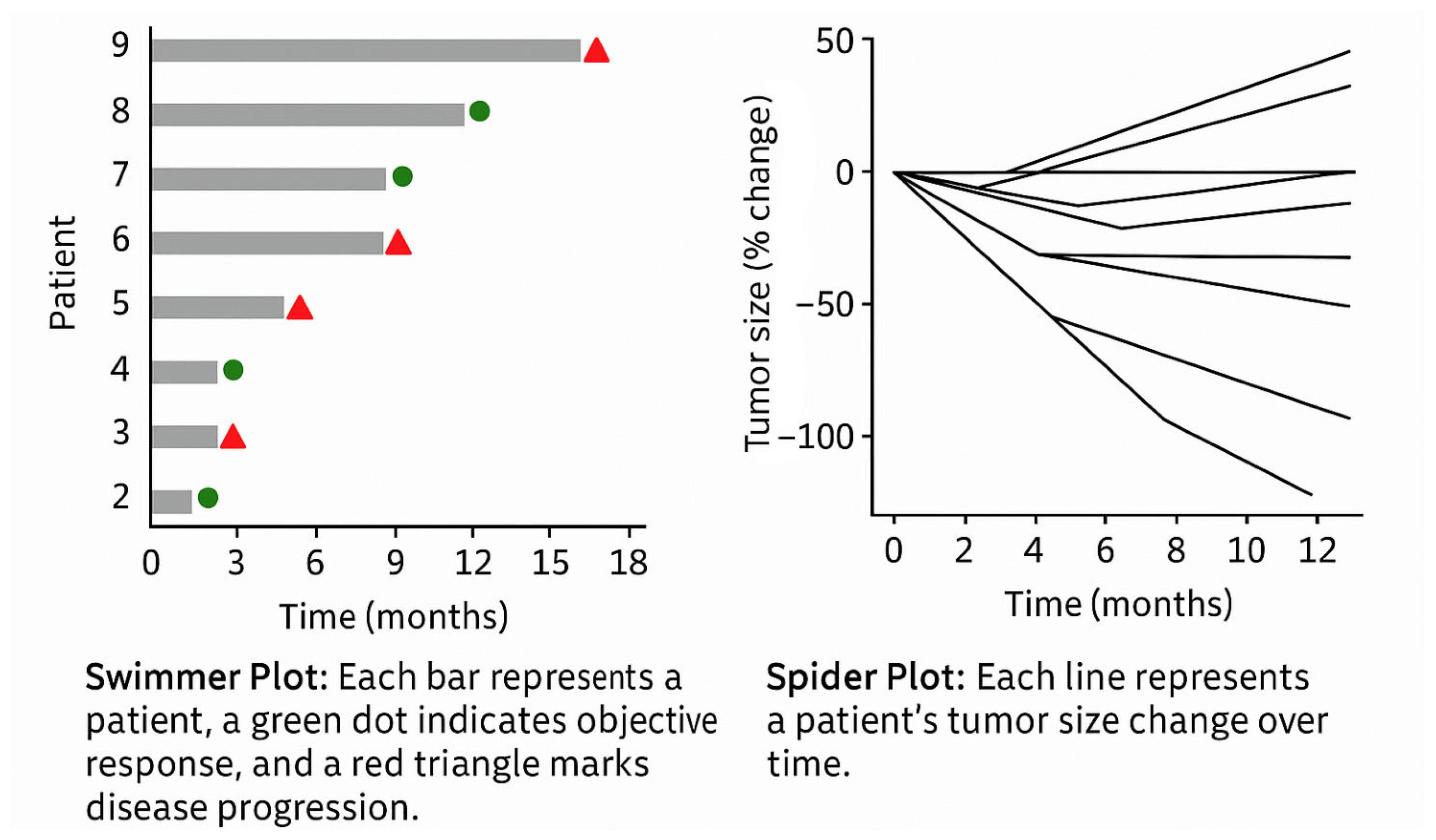 Bioengineering 12 00782 g008