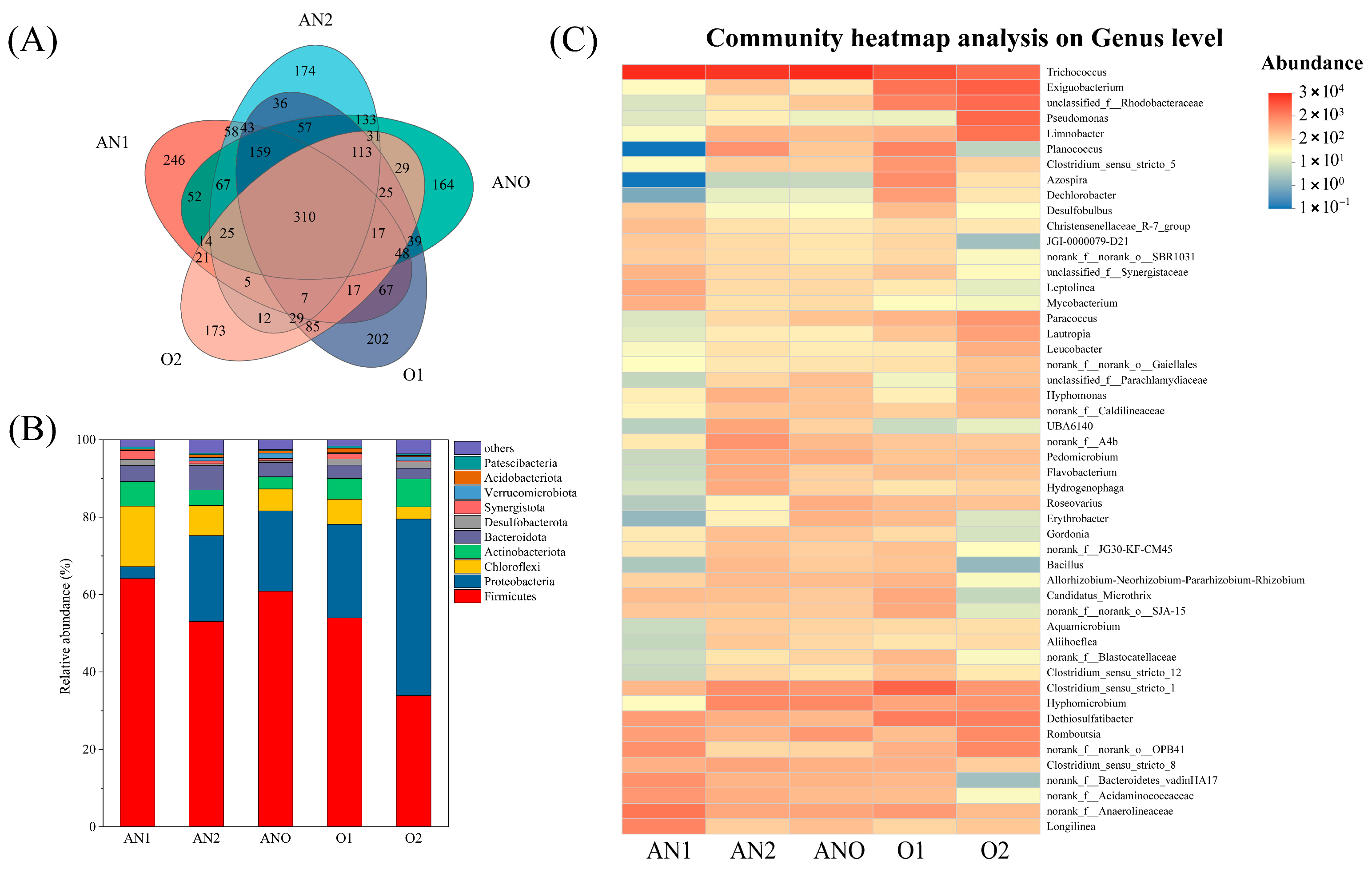 Bioengineering 12 00784 g004