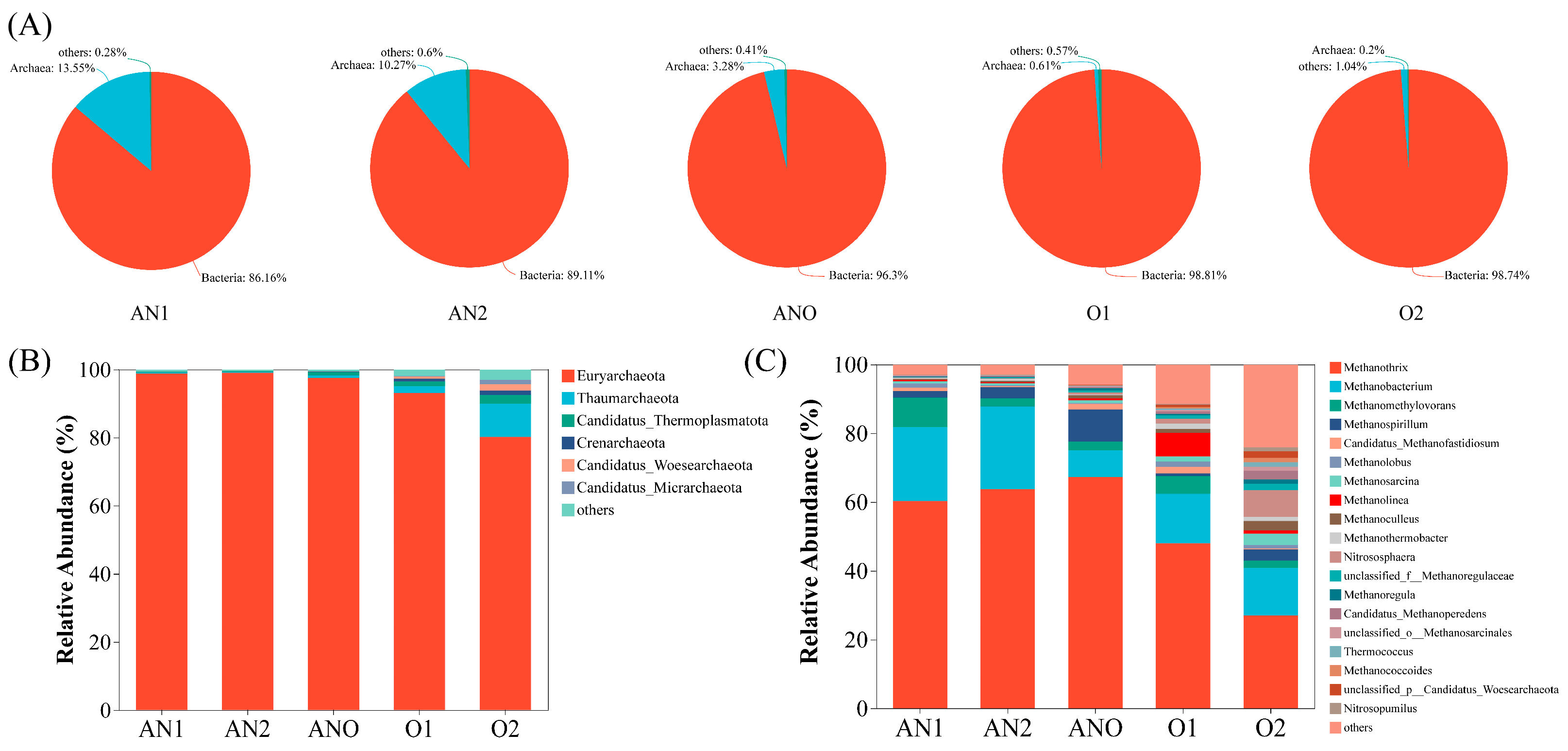Bioengineering 12 00784 g005