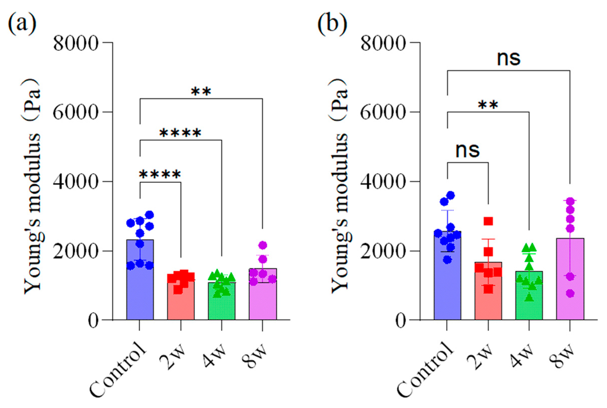 Bioengineering 12 00787 g003a