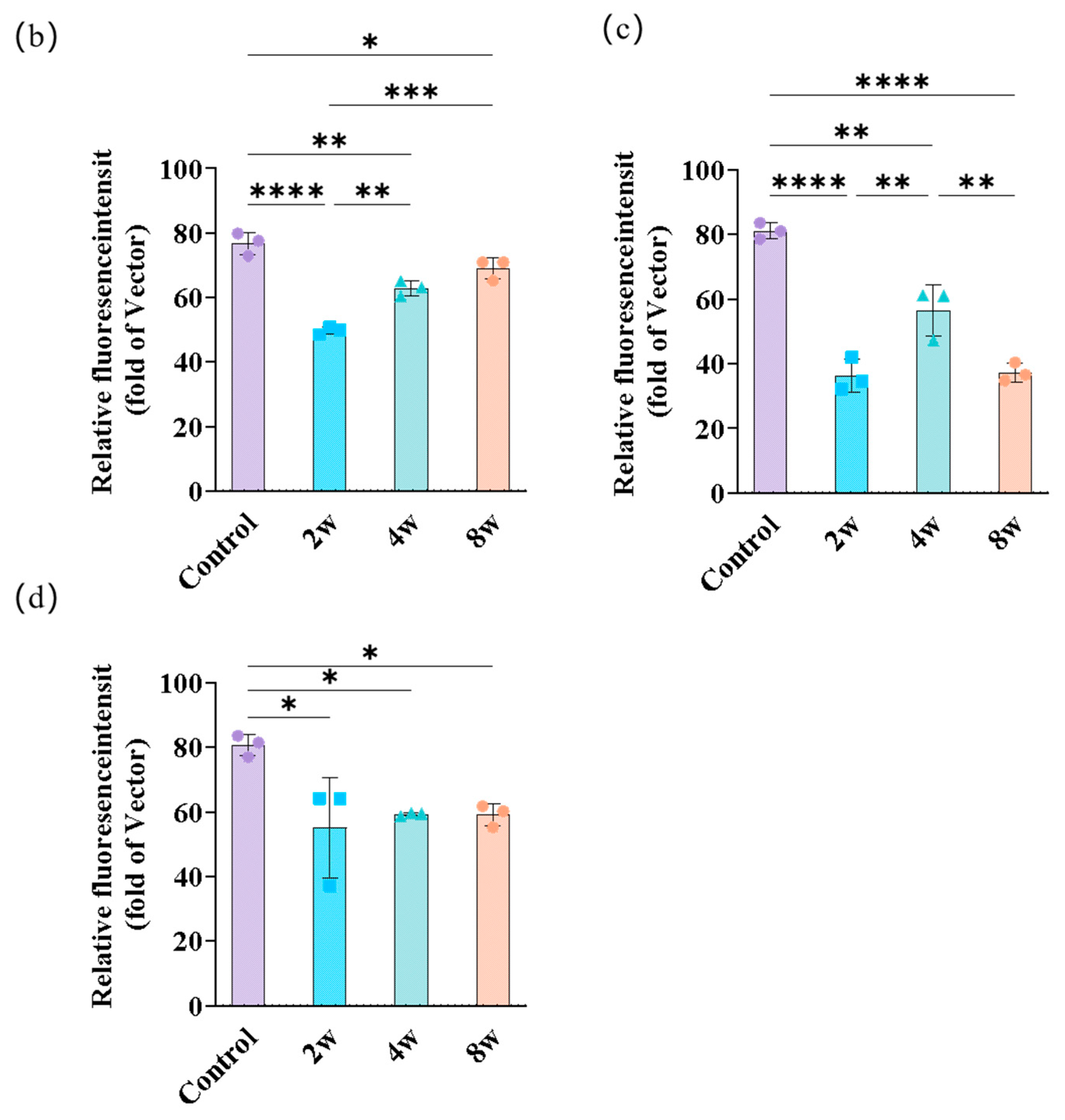 Bioengineering 12 00787 g004b