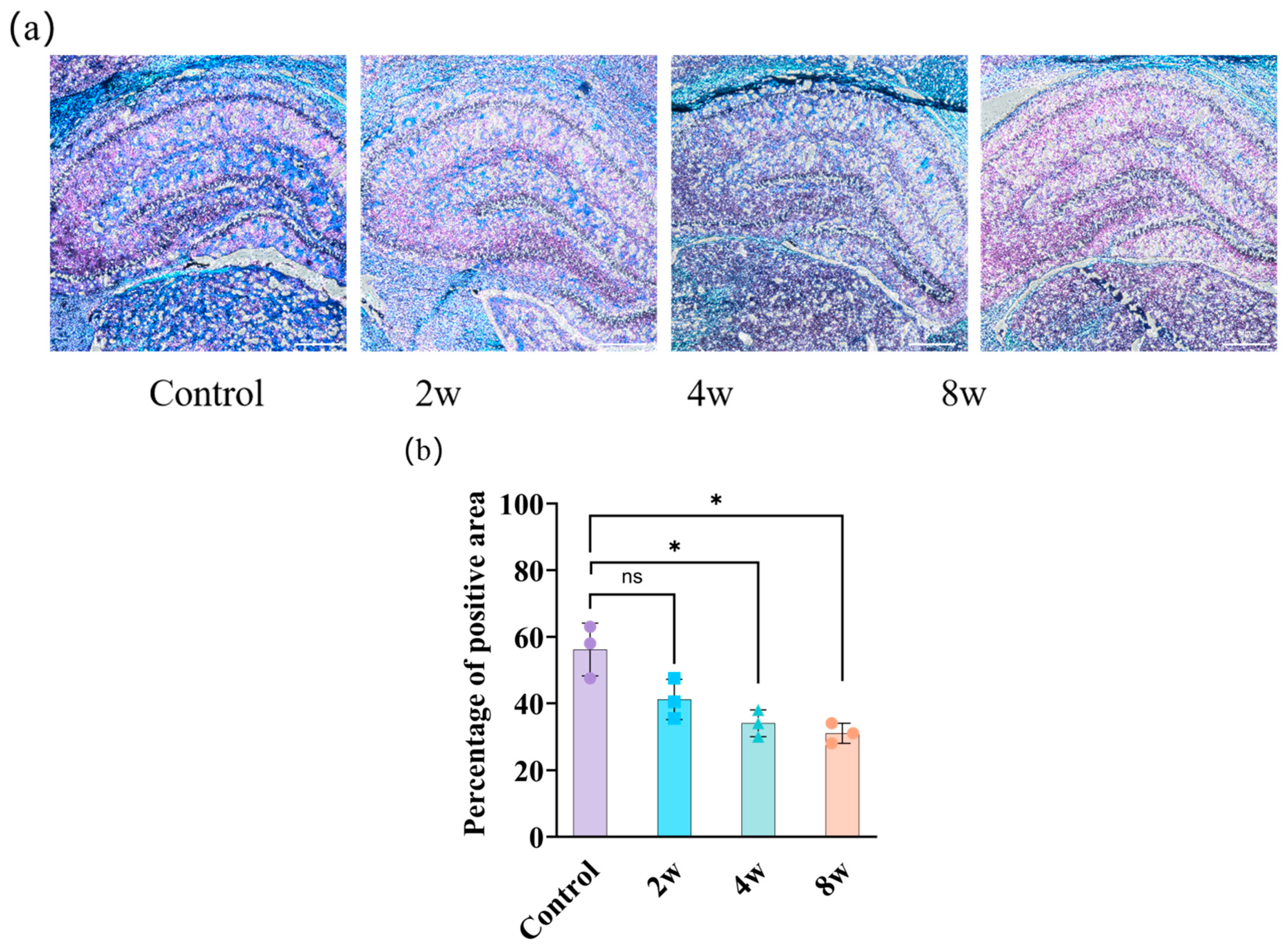 Bioengineering 12 00787 g005