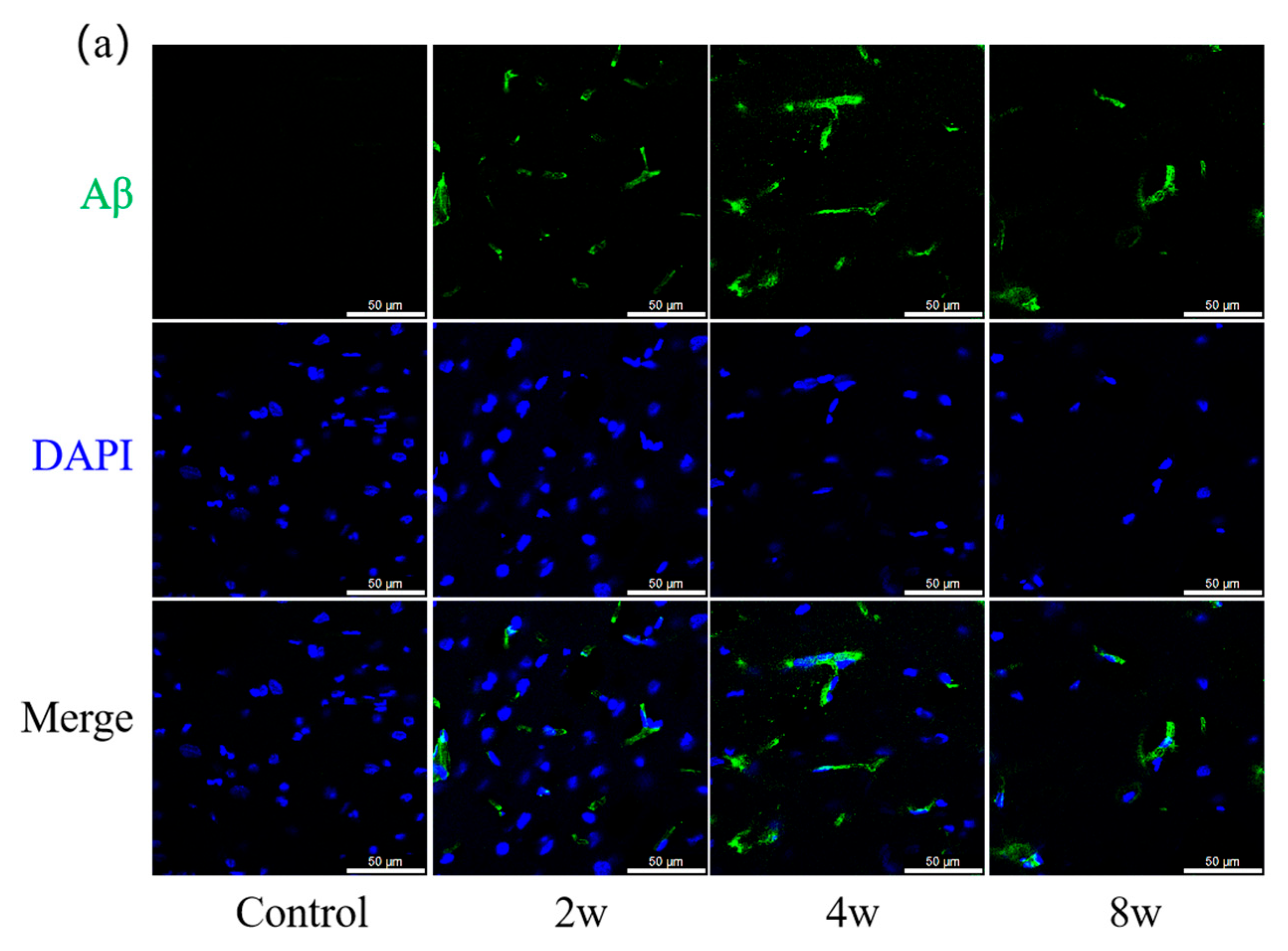 Bioengineering 12 00787 g006a