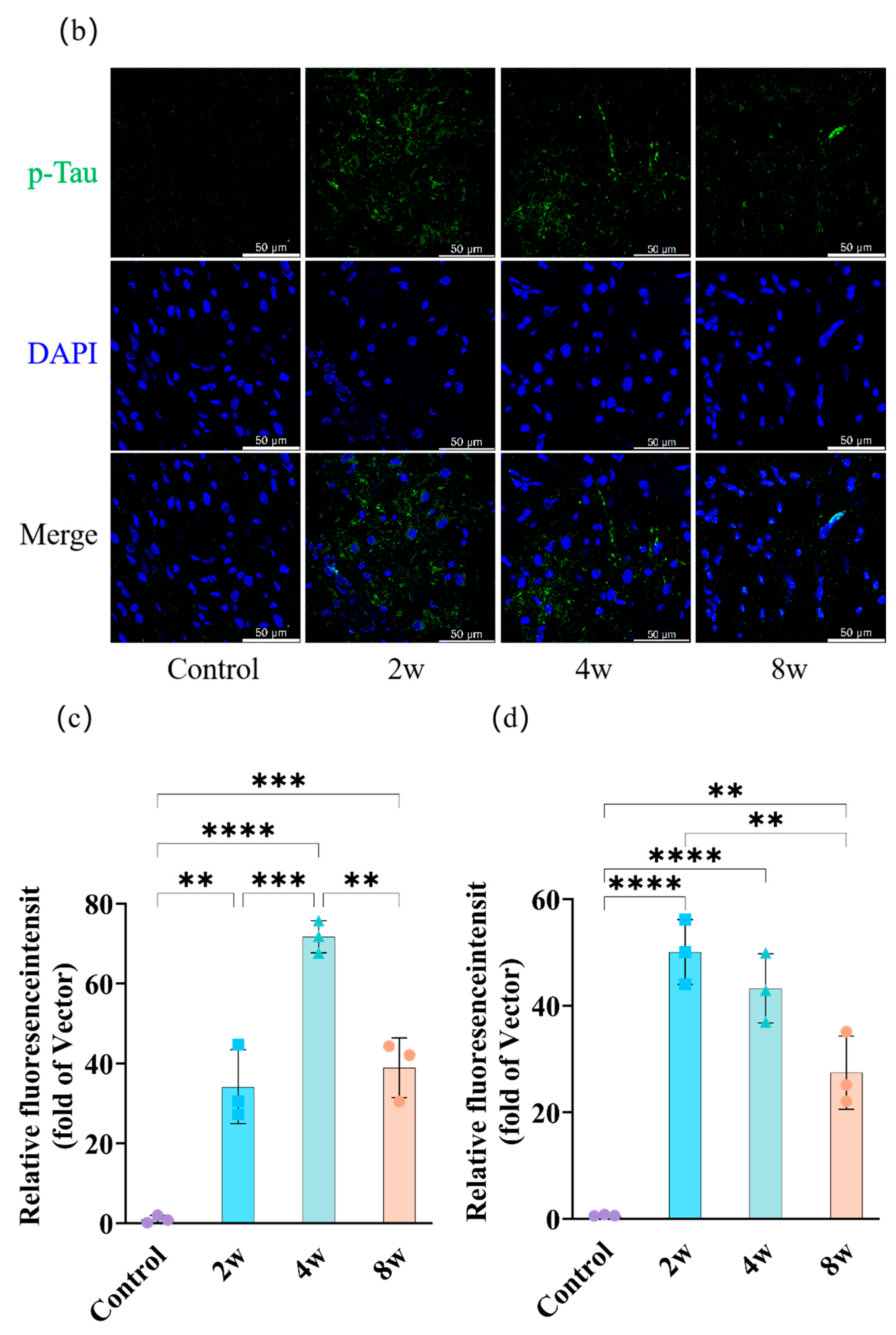 Bioengineering 12 00787 g006b