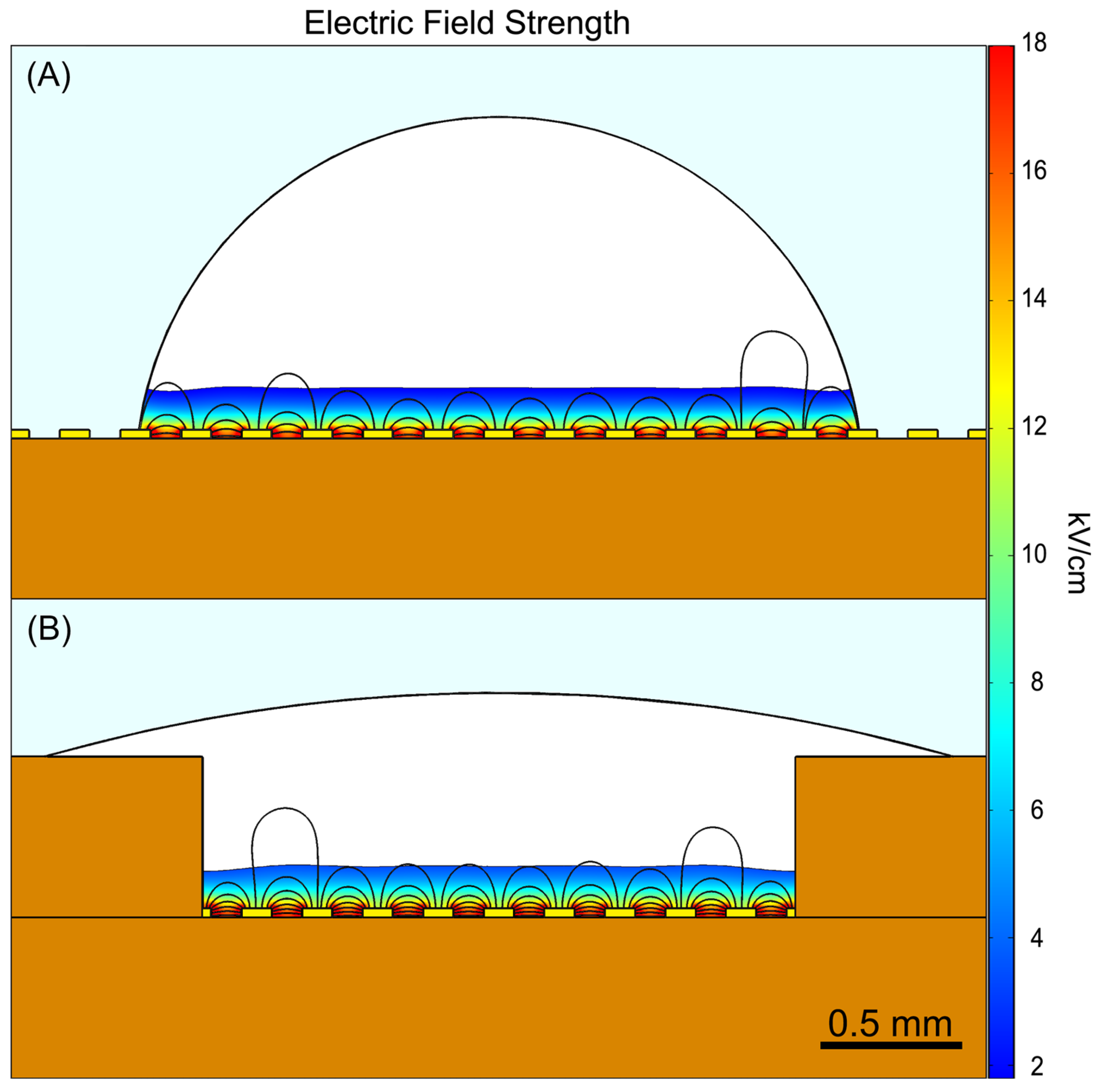 Bioengineering 12 00788 g005