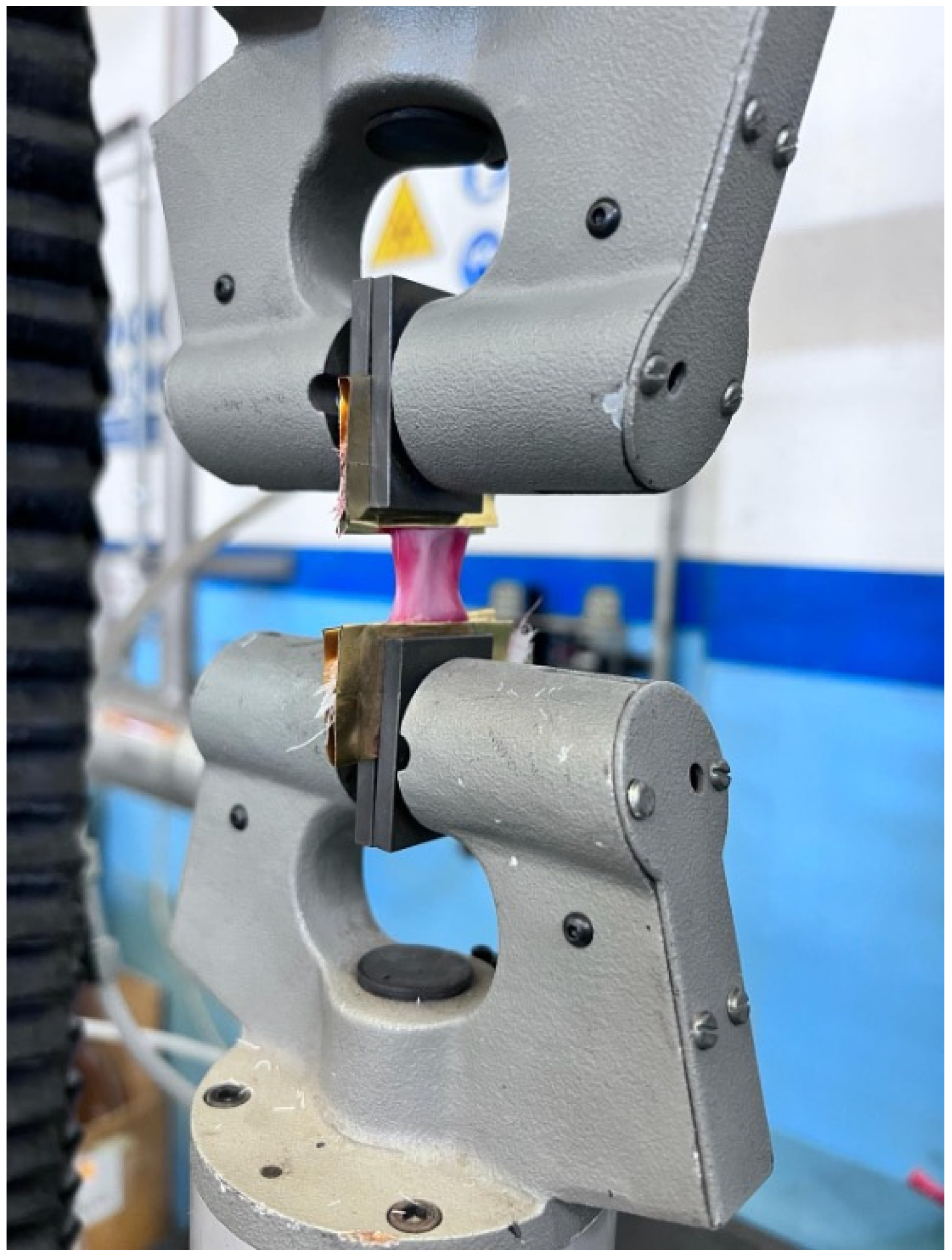 Bioengineering 12 00789 g001