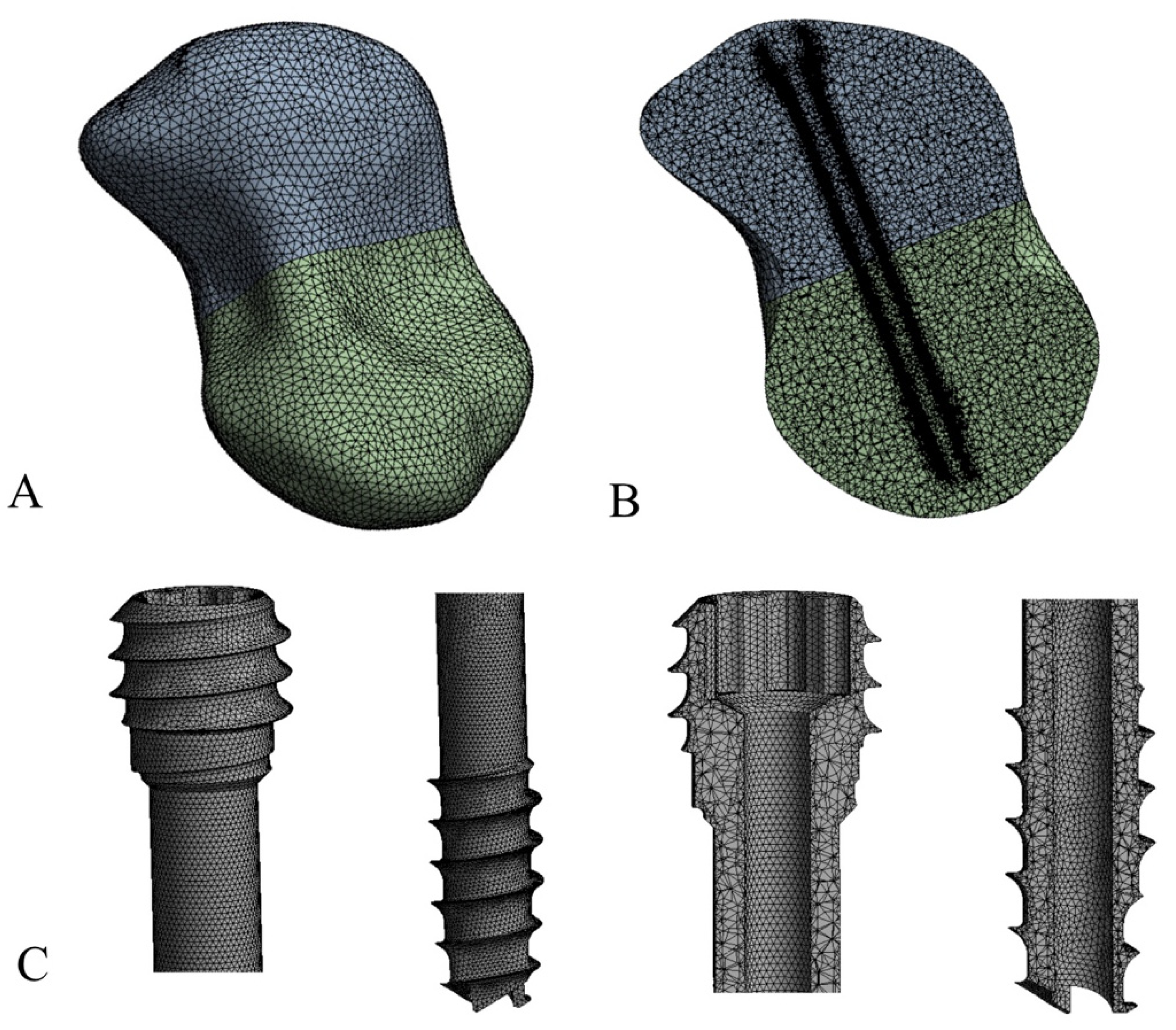 Bioengineering 12 00790 g001