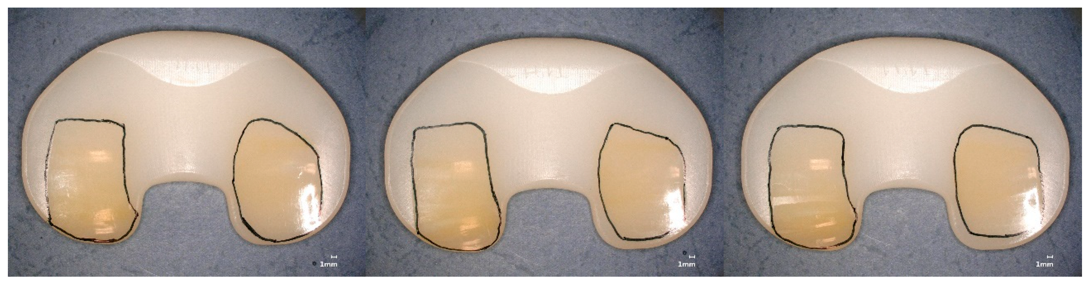 Bioengineering 12 00793 g008