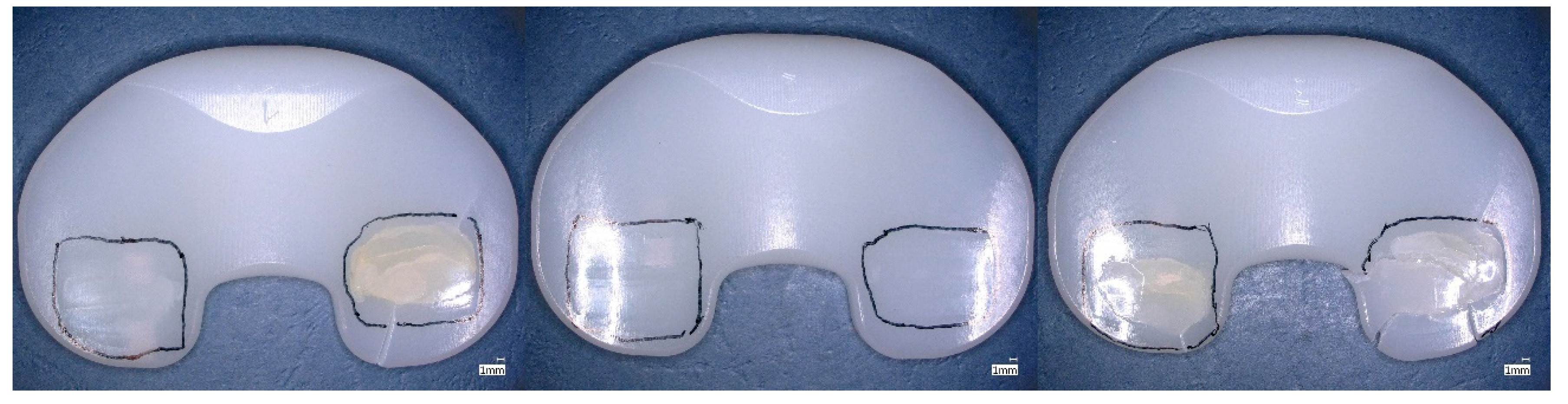 Bioengineering 12 00793 g010