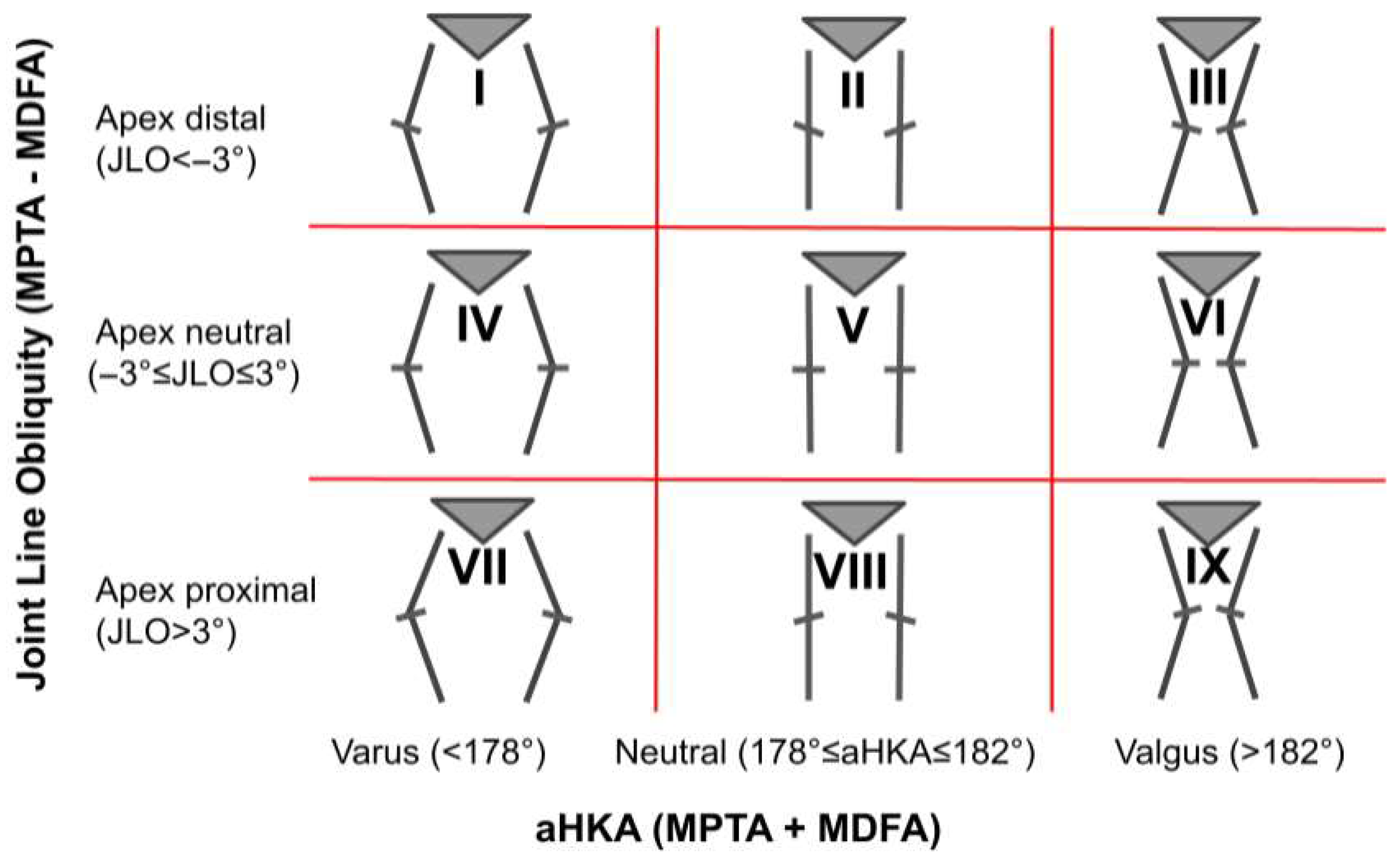 Bioengineering 12 00794 g002