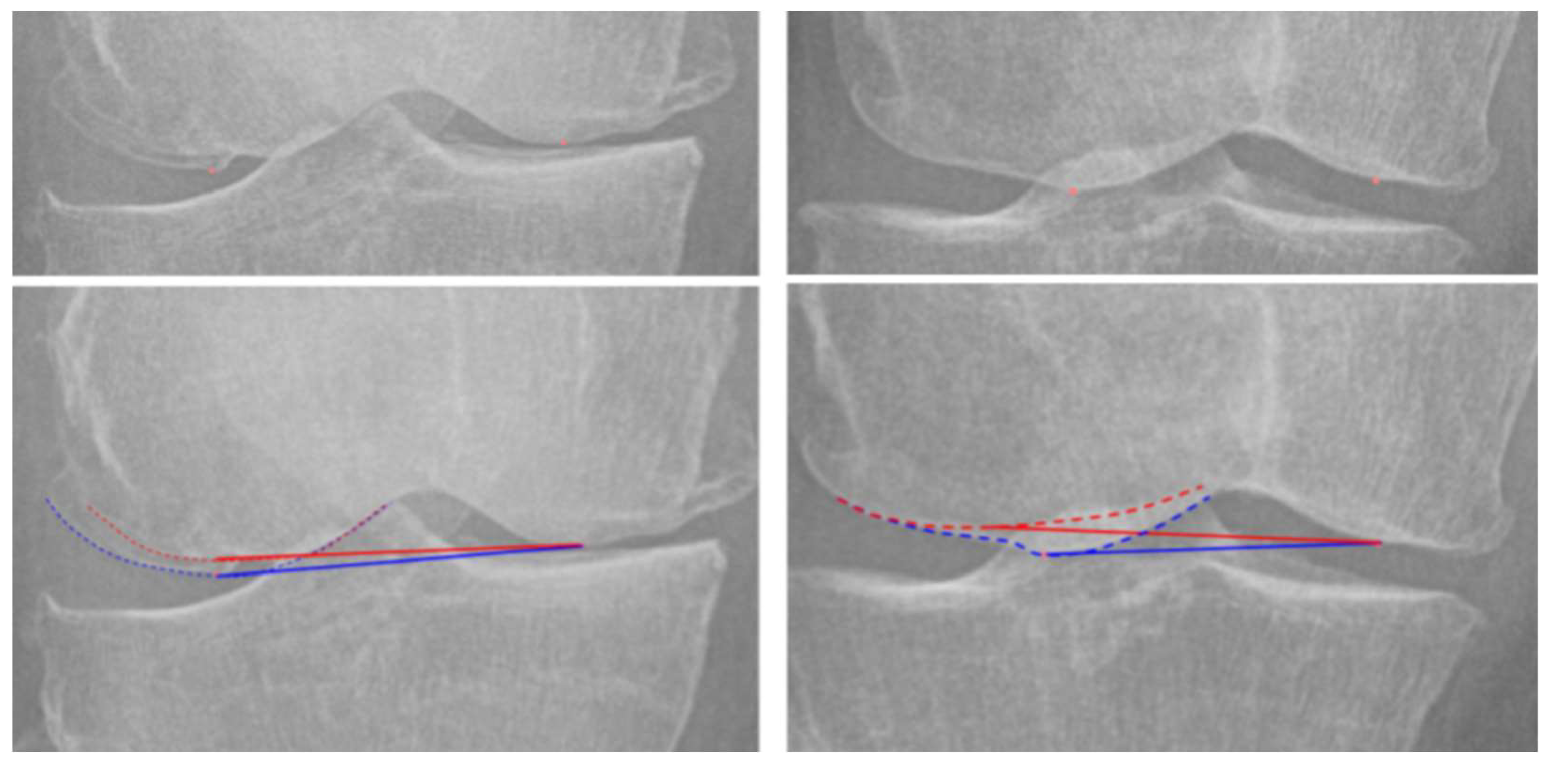 Bioengineering 12 00794 g007