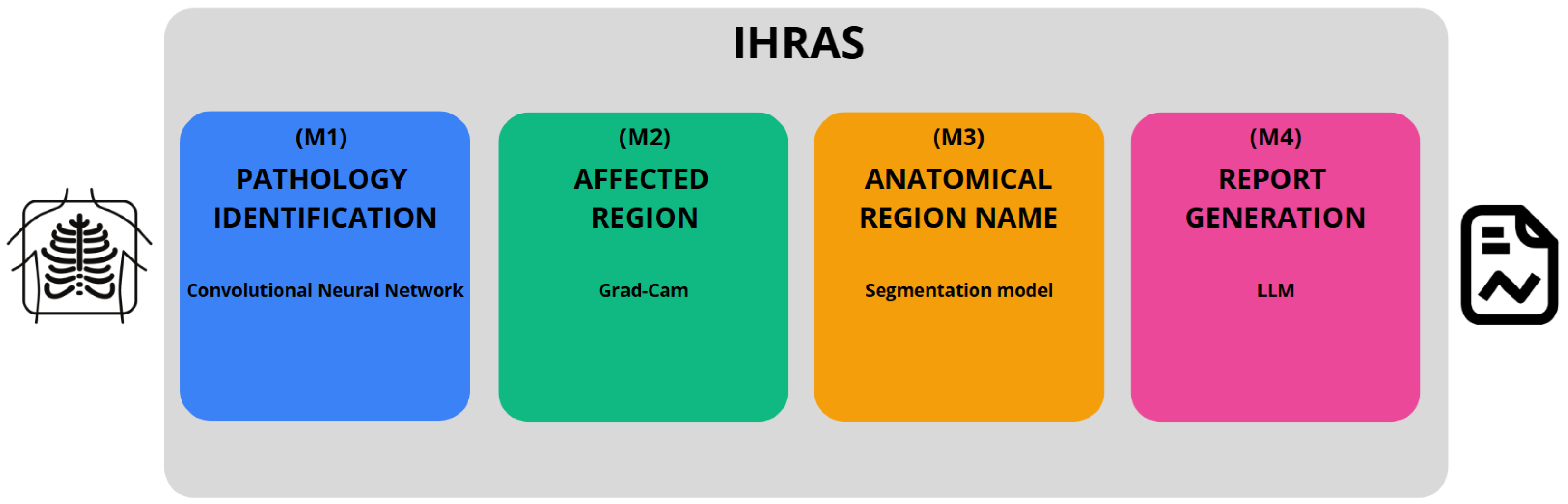 Bioengineering 12 00795 g001