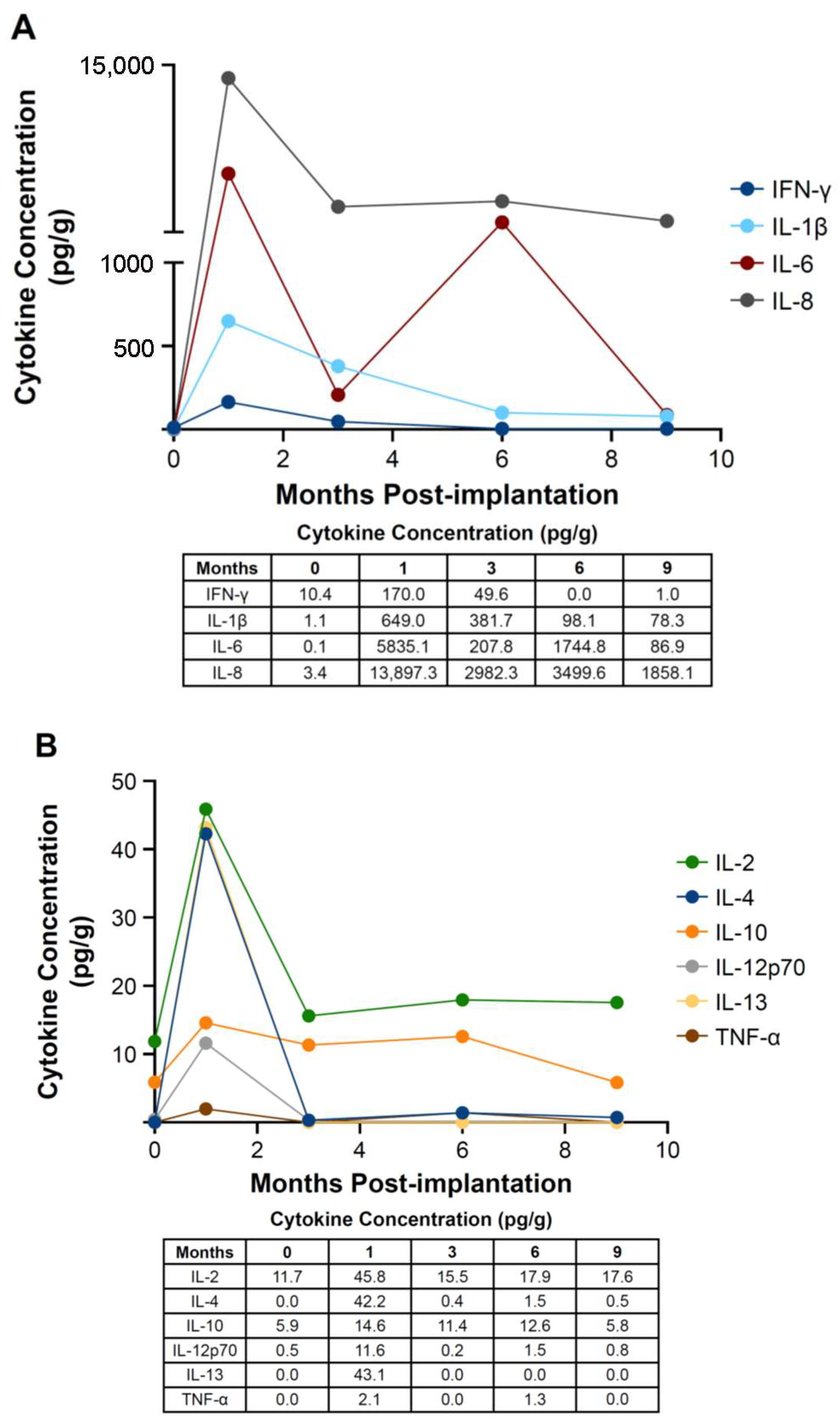 Bioengineering 12 00796 g001