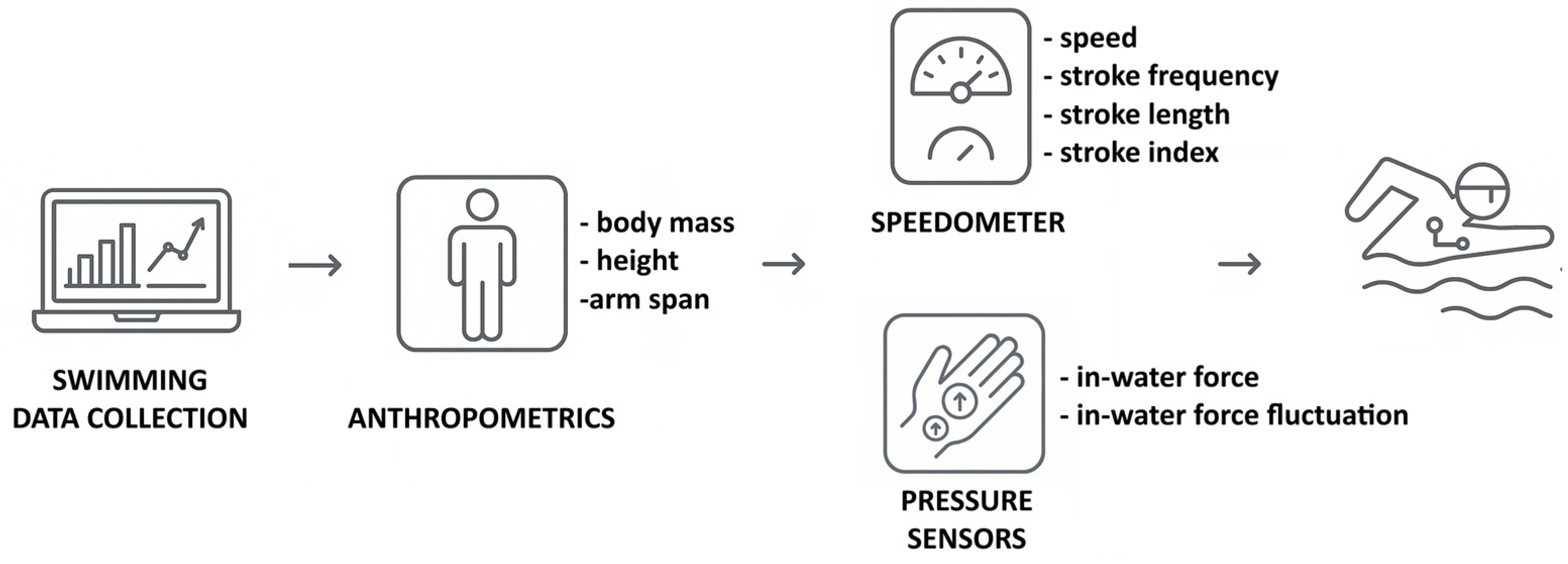 Bioengineering 12 00797 g001