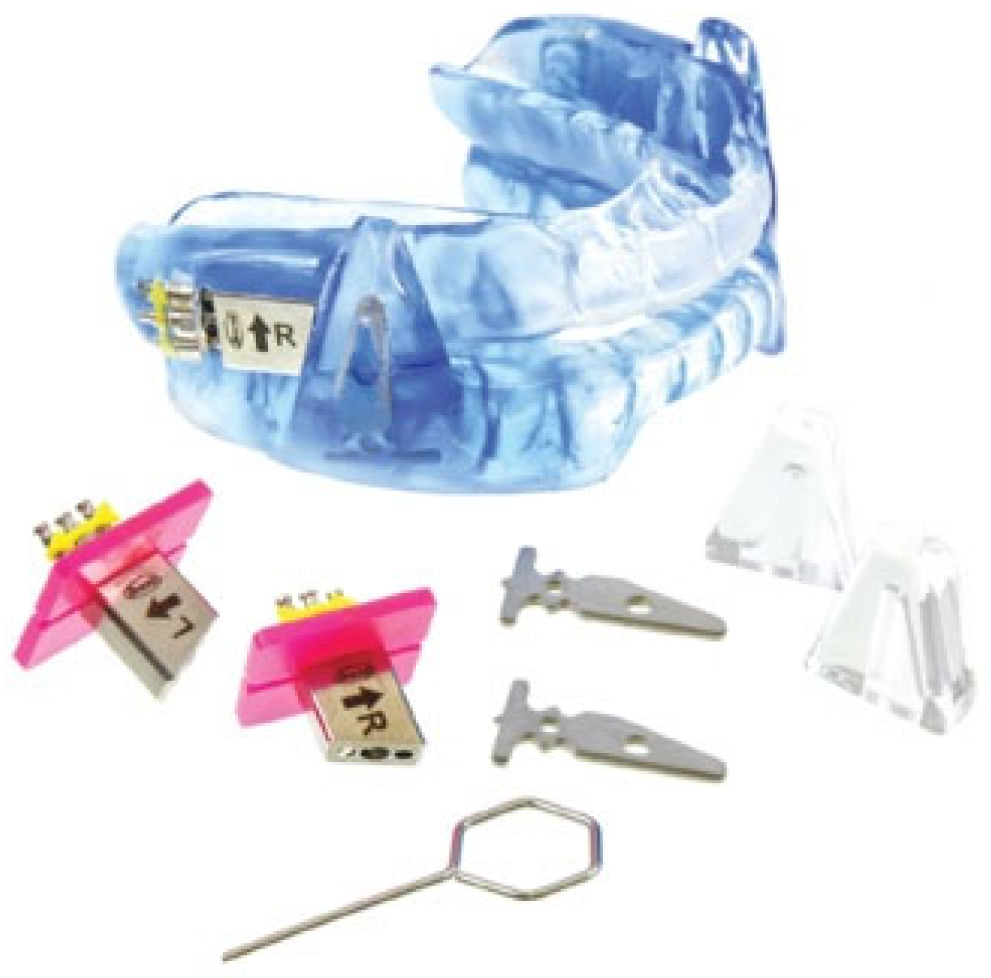 Bioengineering 12 00798 g002