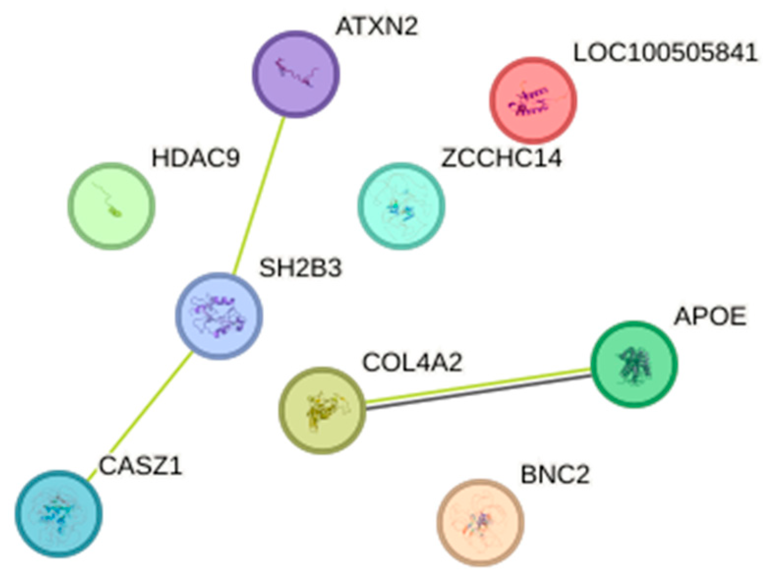 Bioengineering 12 00804 g001