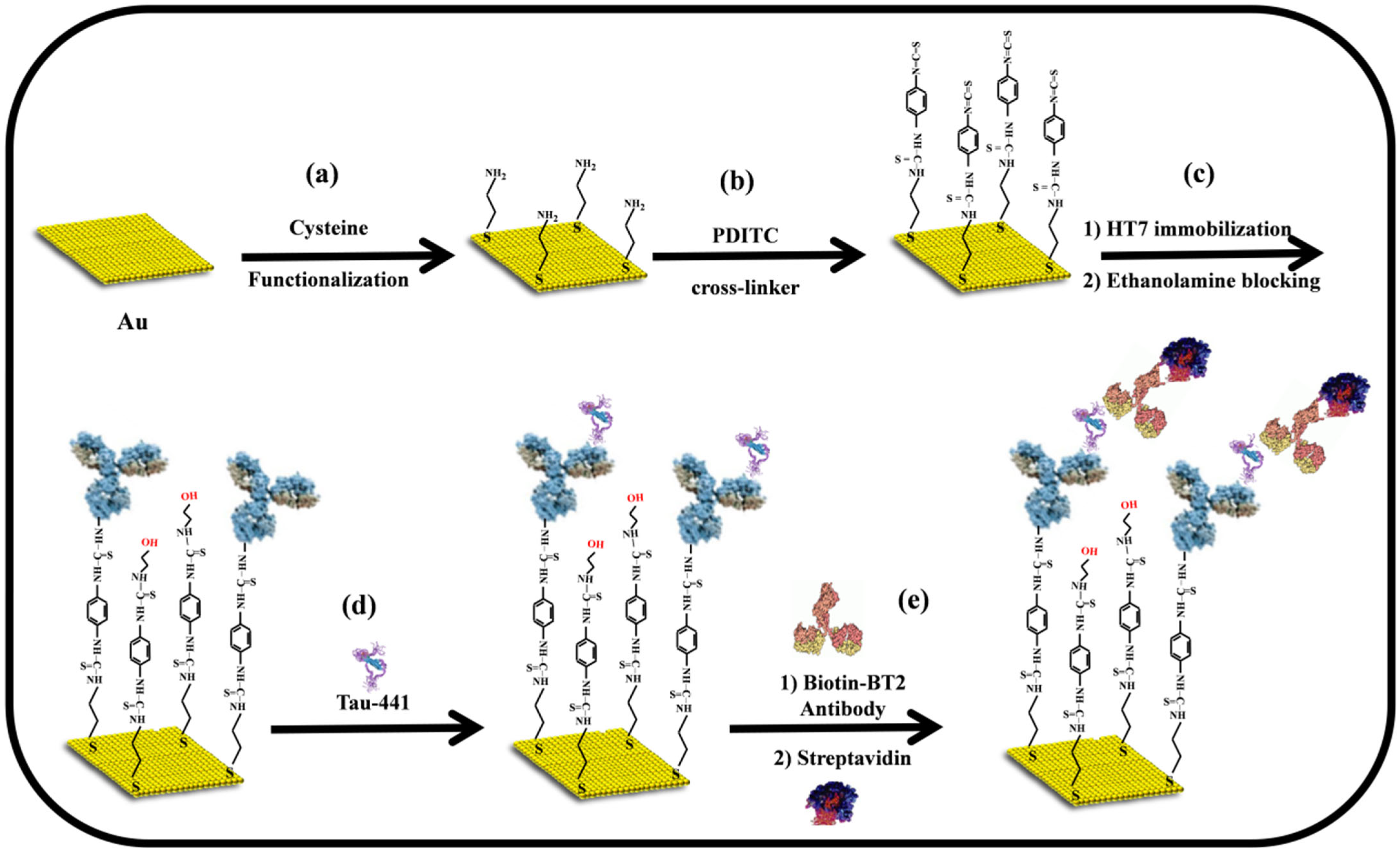 Bioengineering 12 00805 sch001