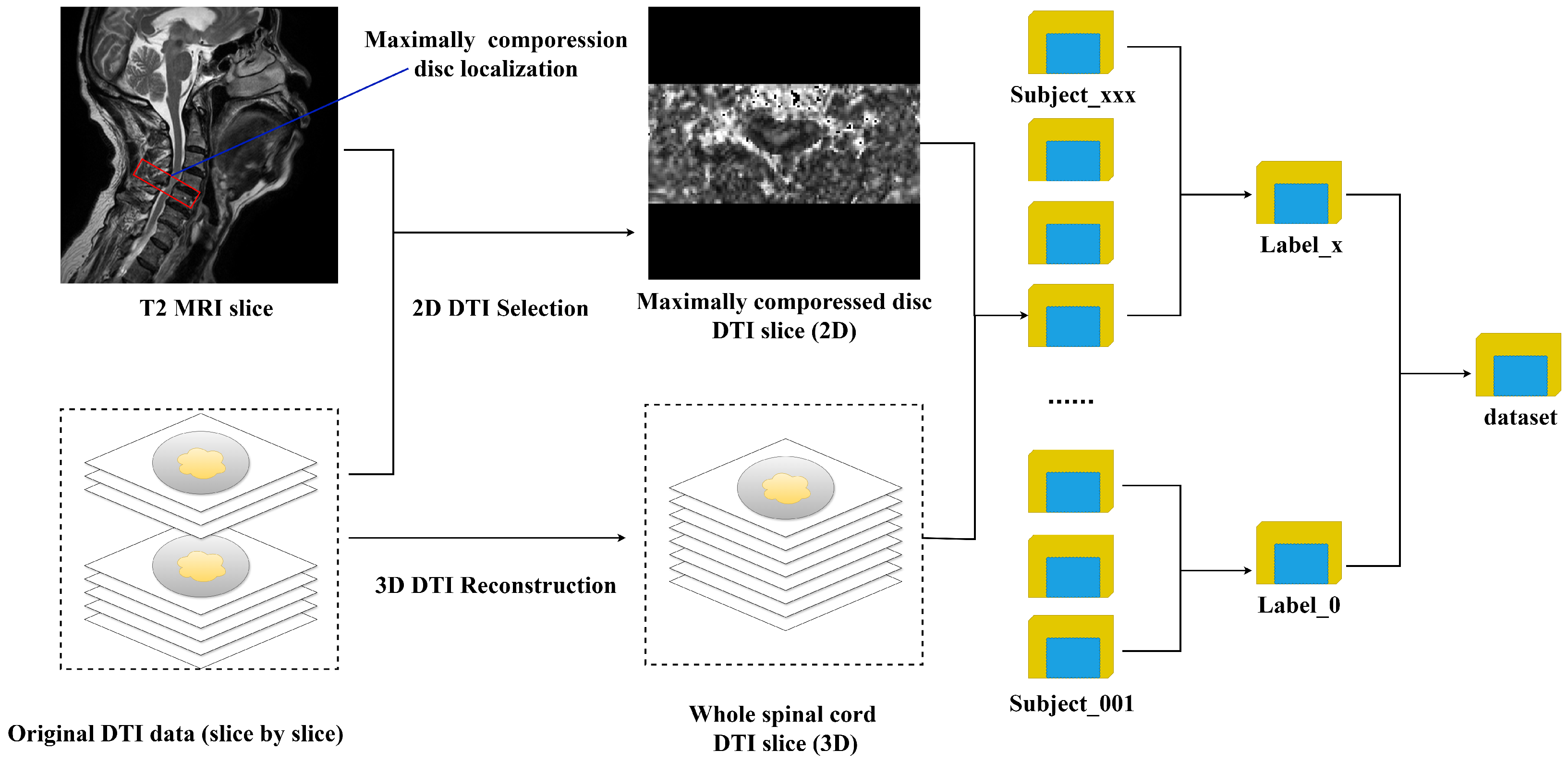 Bioengineering 12 00806 g001