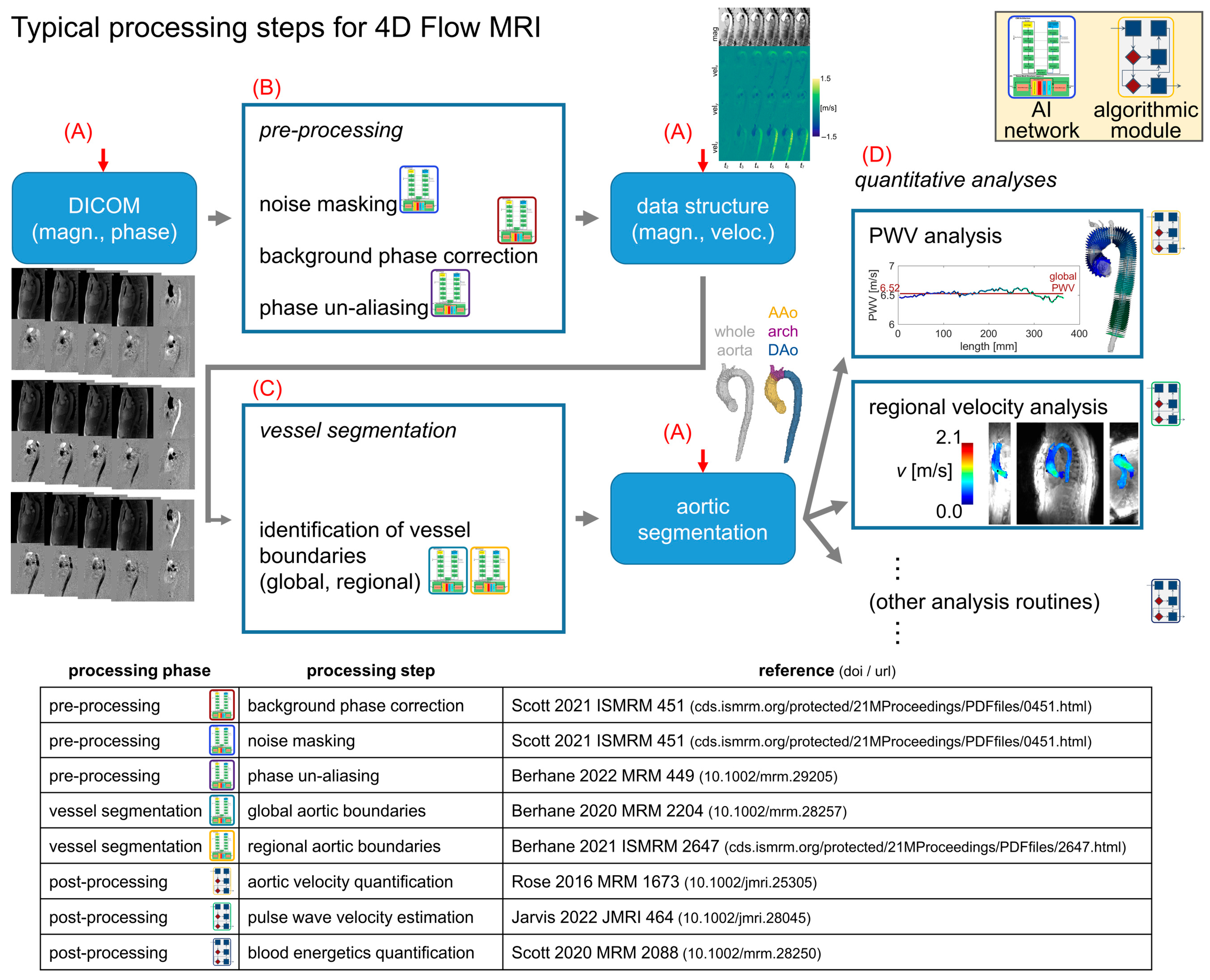 Bioengineering 12 00807 g001