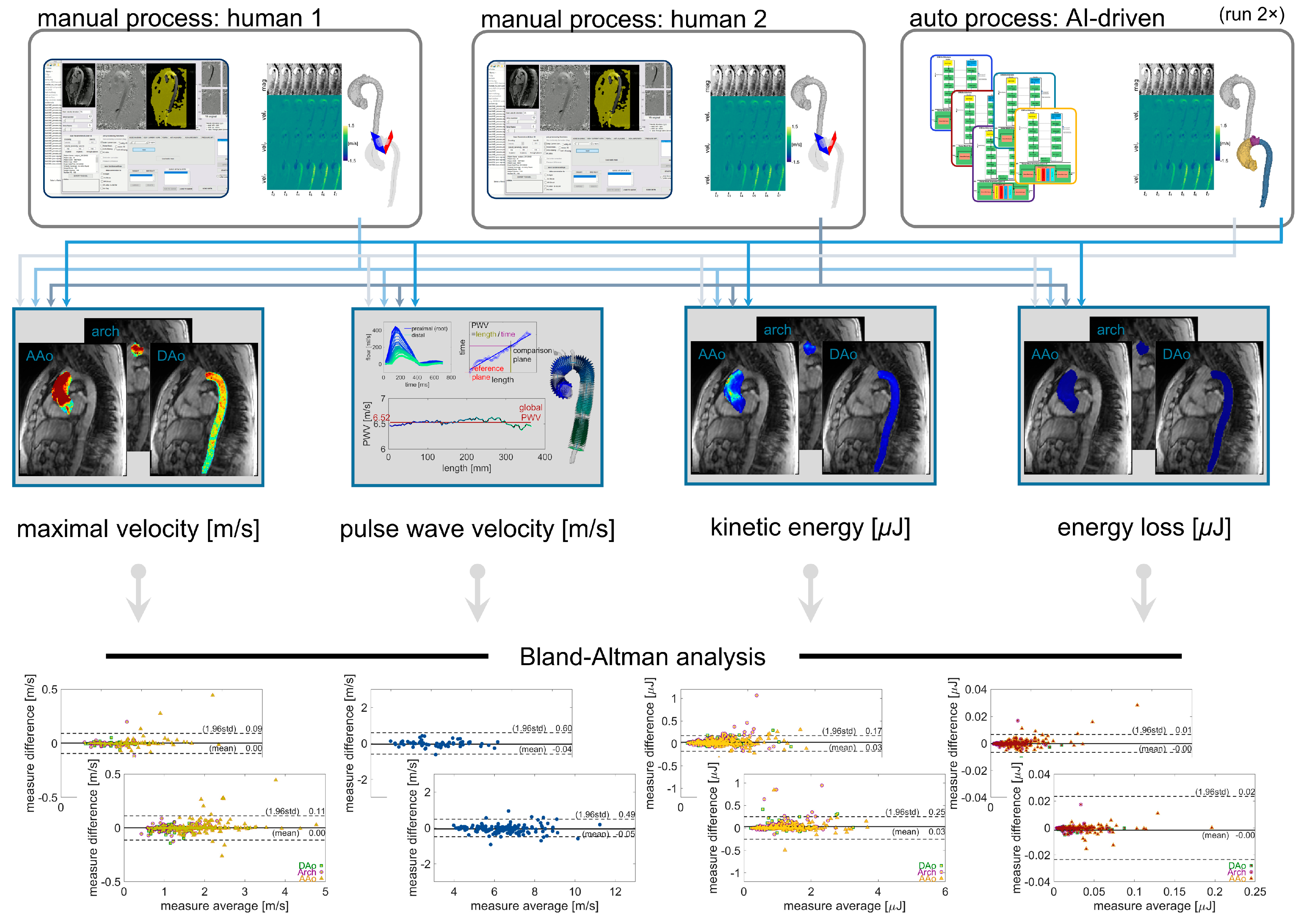 Bioengineering 12 00807 g004