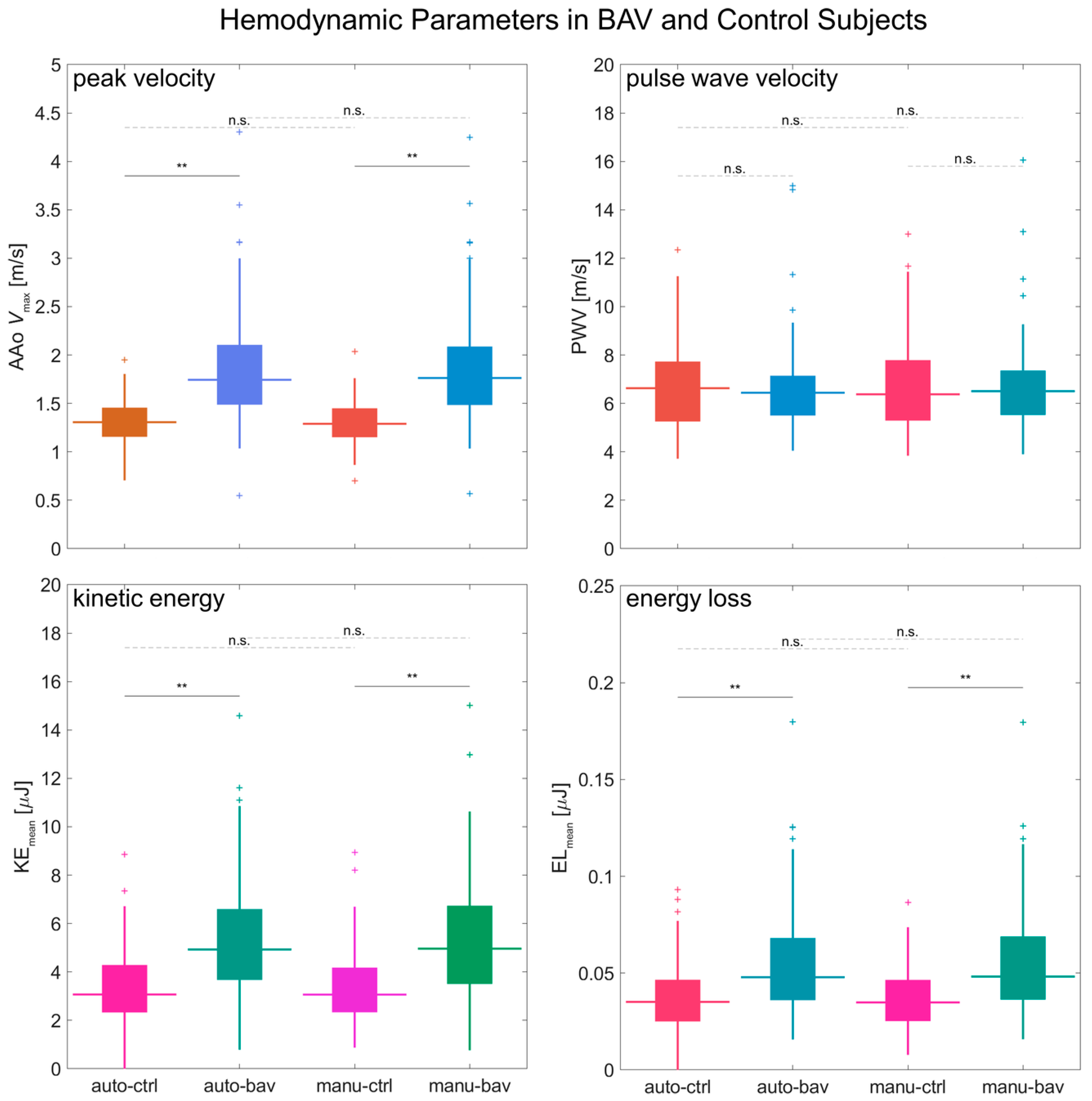 Bioengineering 12 00807 g008