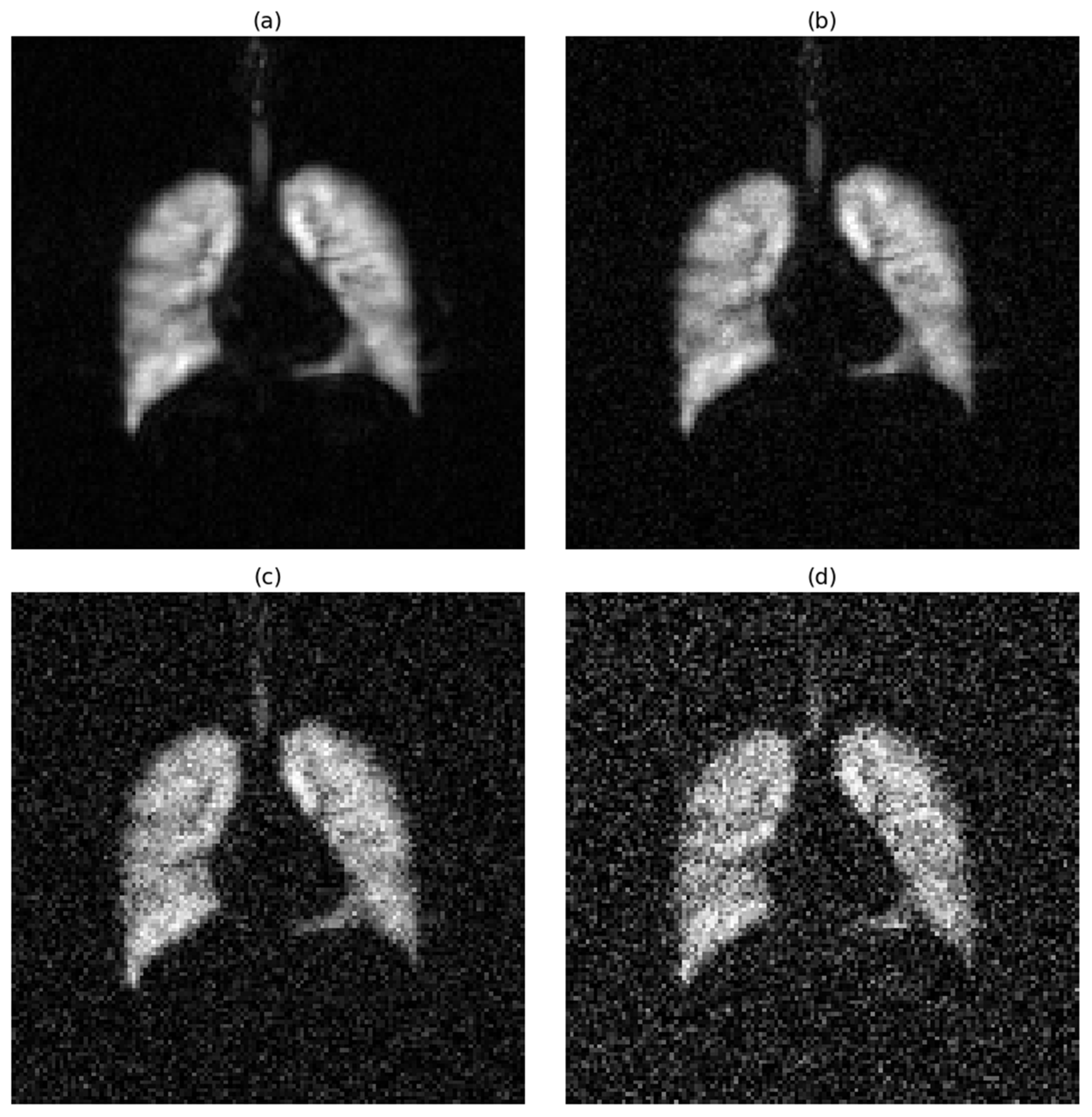 Bioengineering 12 00808 g001