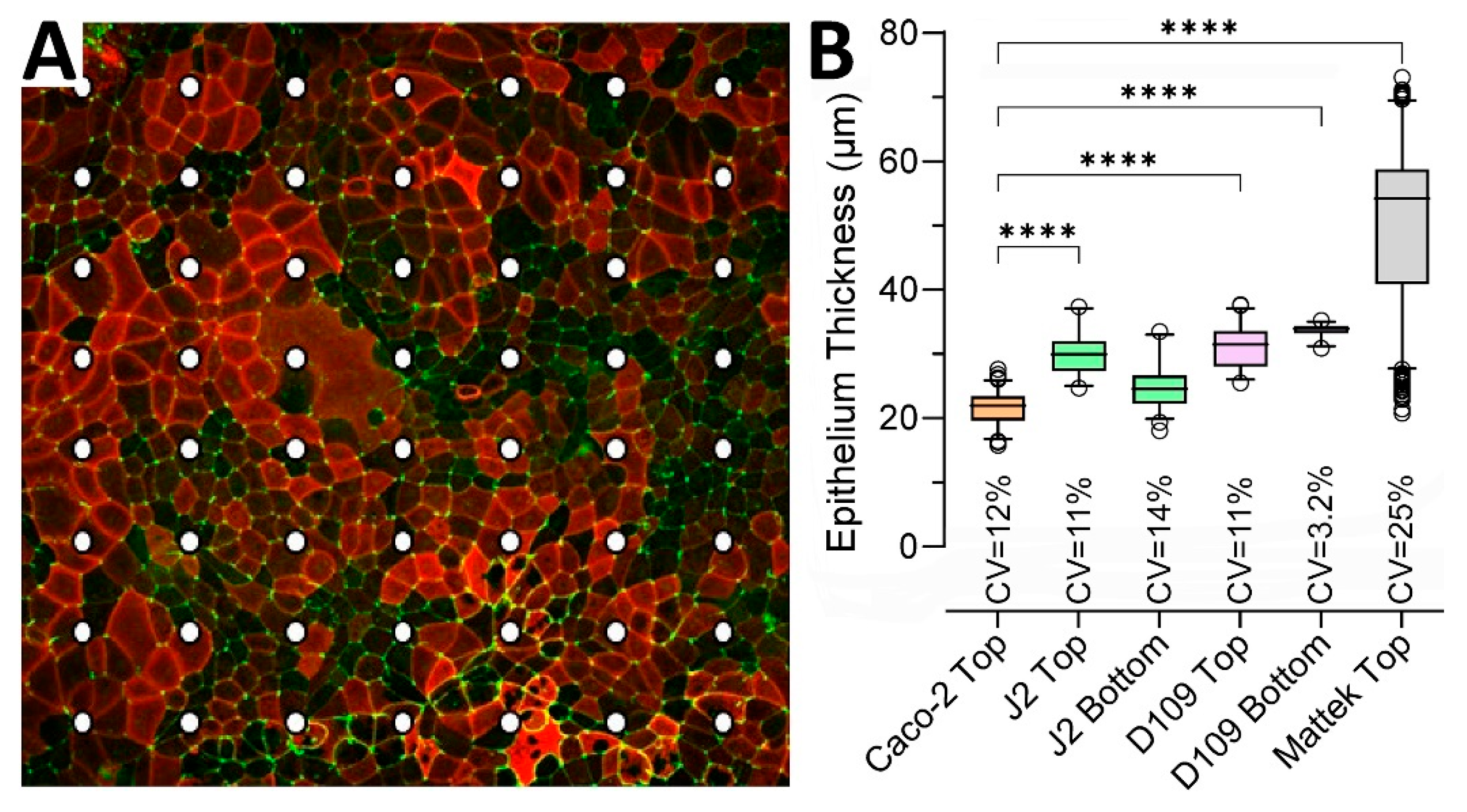 Bioengineering 12 00809 g003