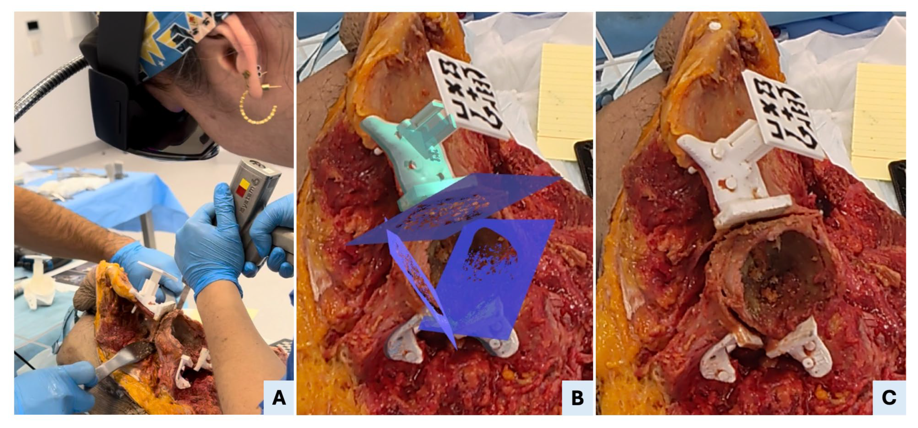 Bioengineering 12 00810 g005