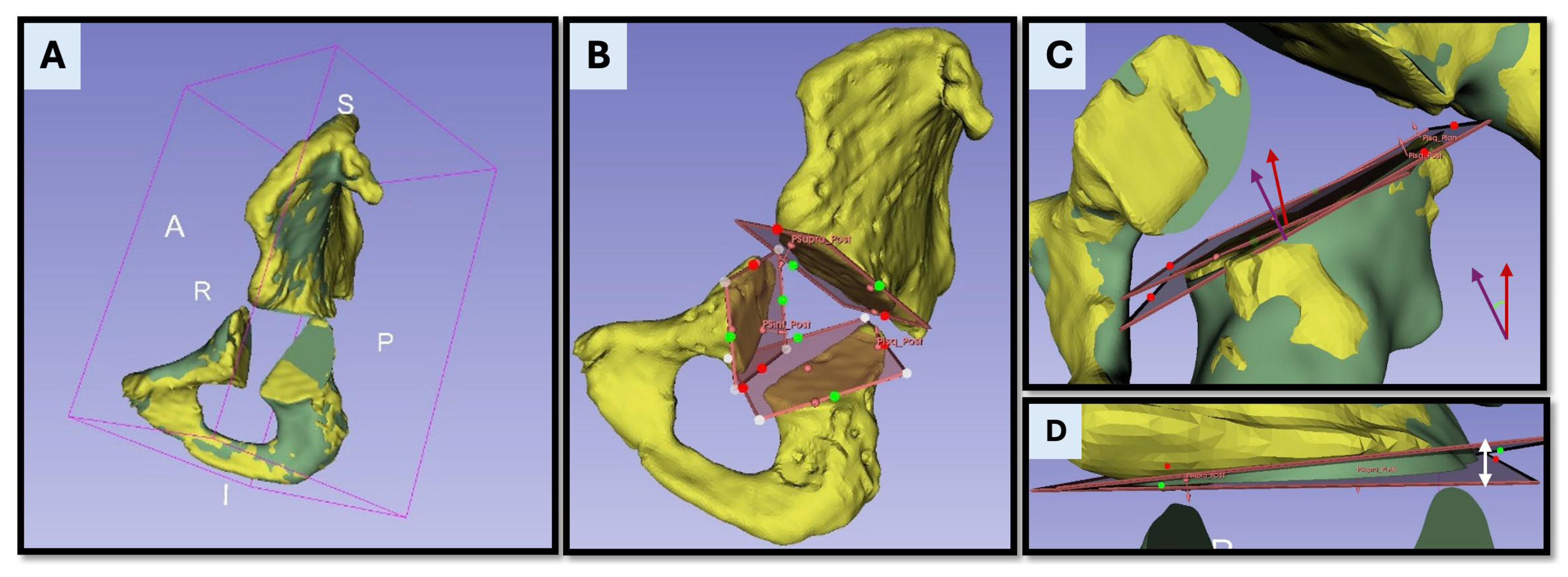 Bioengineering 12 00810 g006