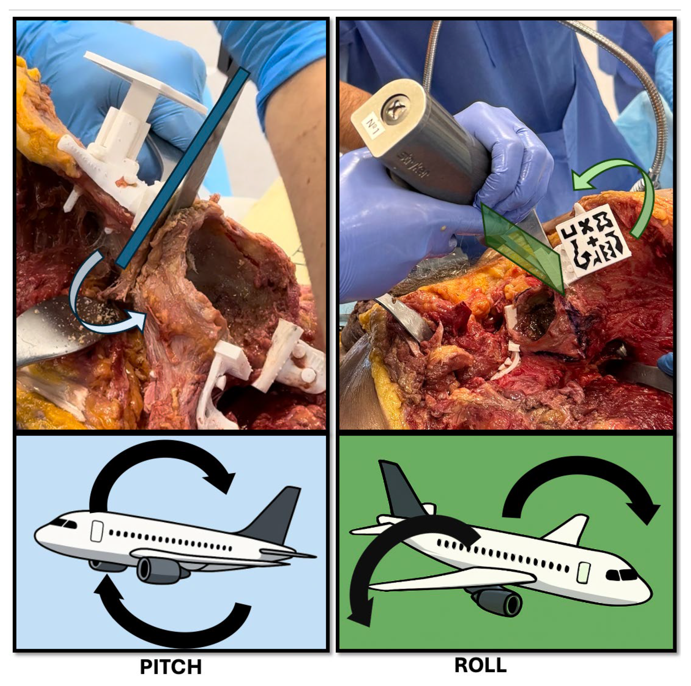 Bioengineering 12 00810 g007