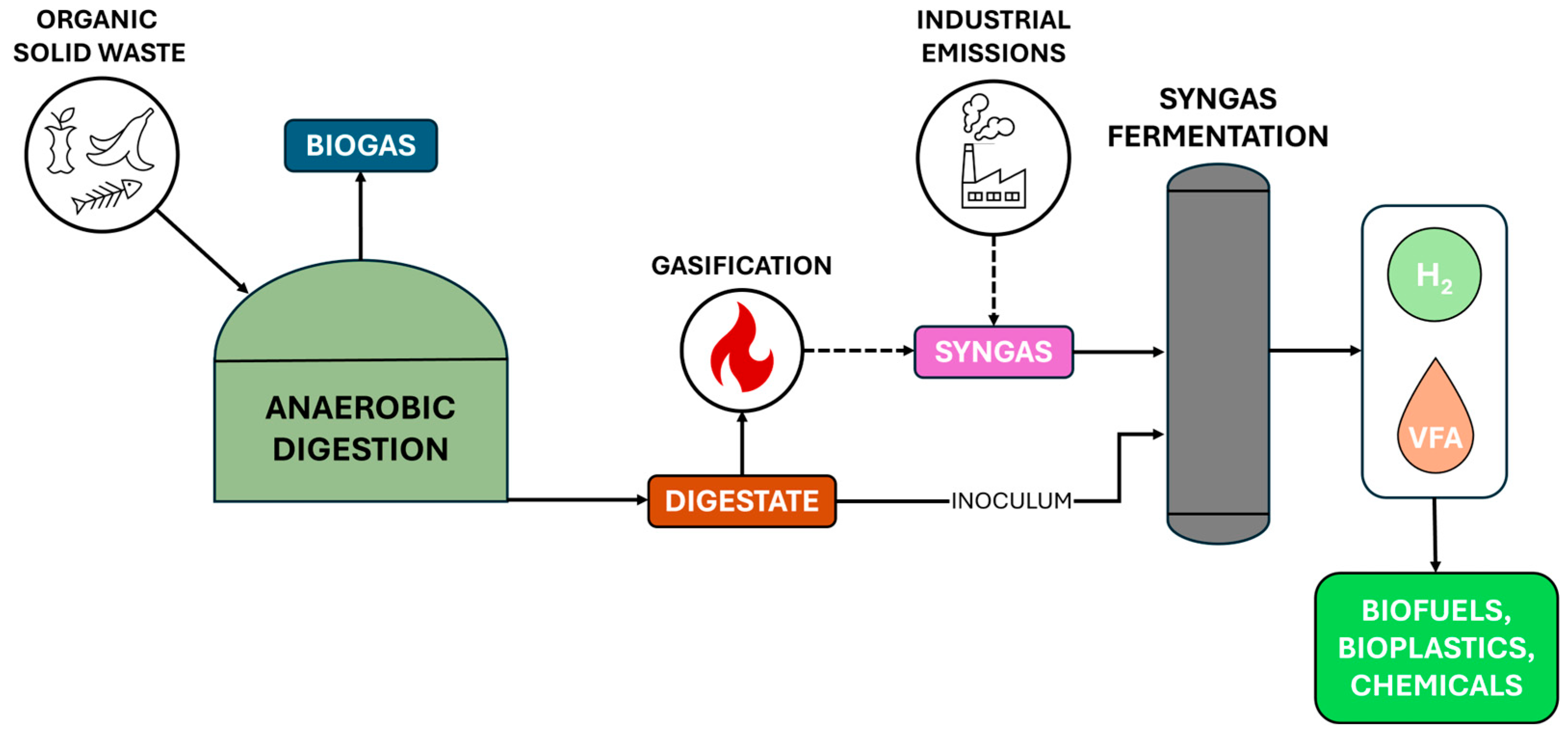 Bioengineering 12 00816 g001