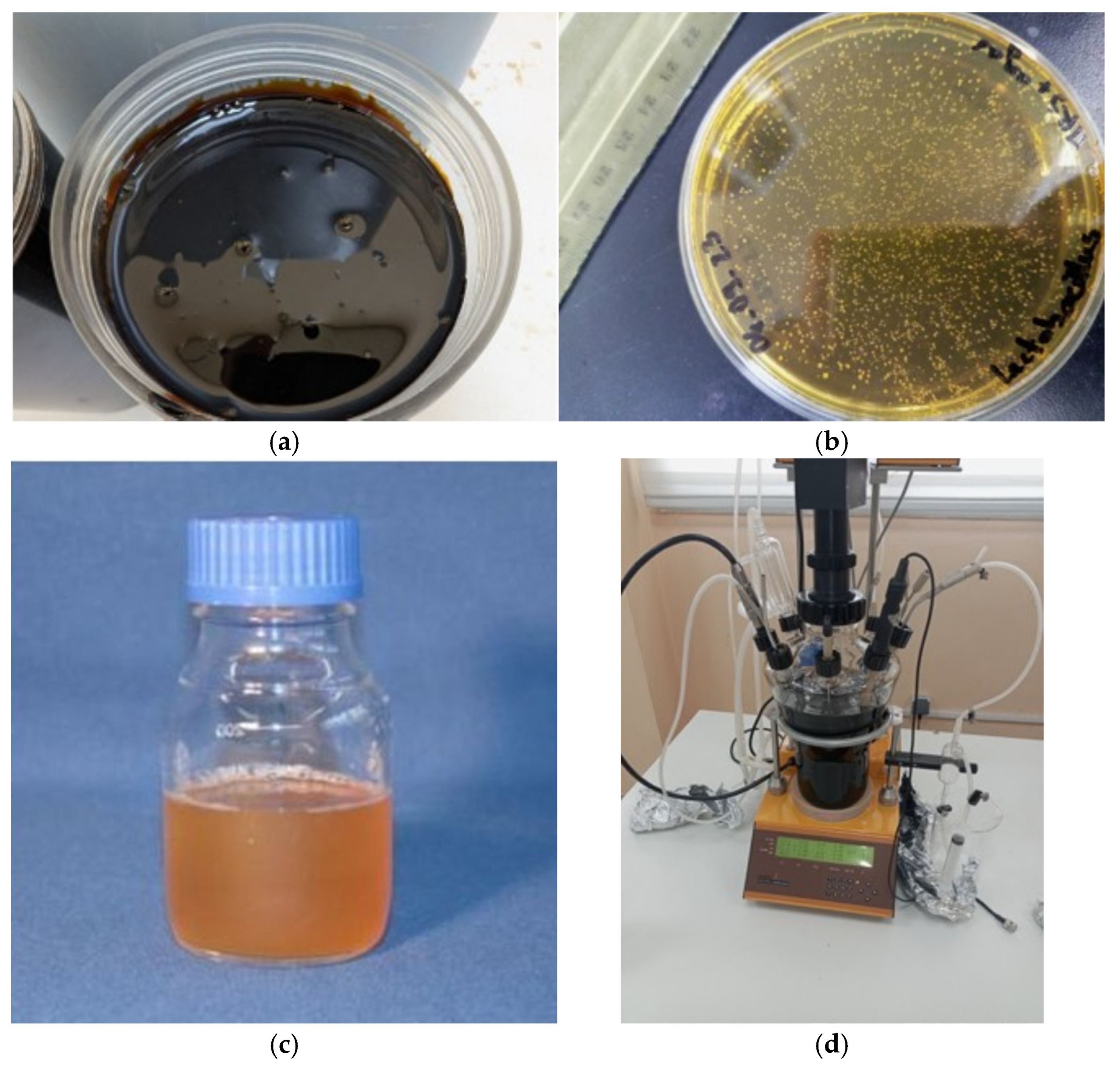 Bioengineering 12 00817 g001