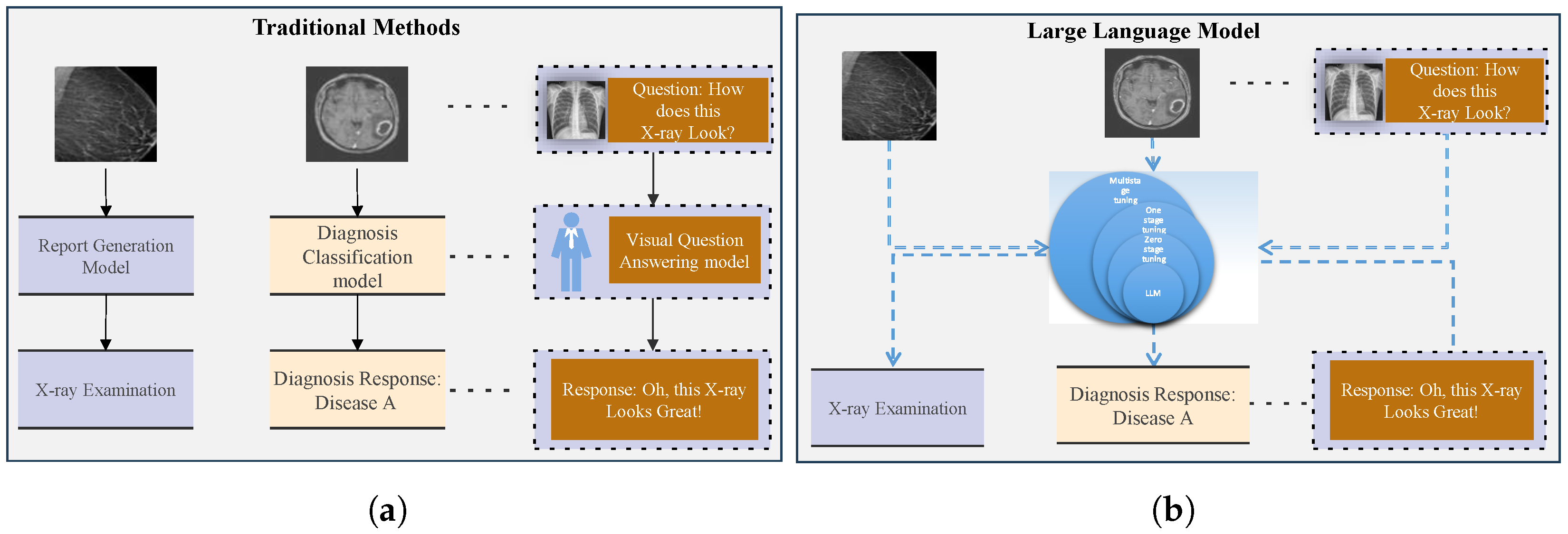 Bioengineering 12 00818 g001