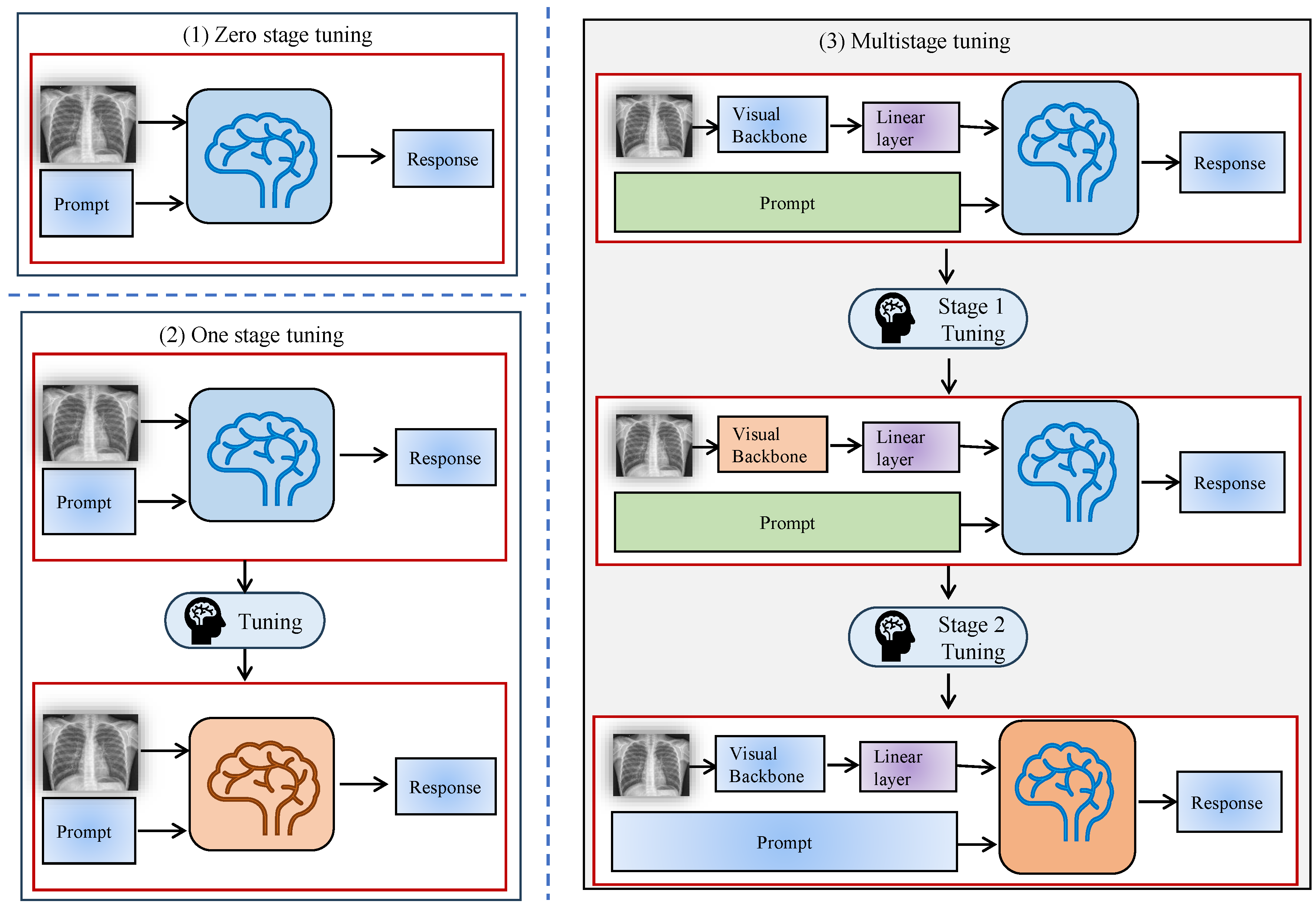 Bioengineering 12 00818 g004