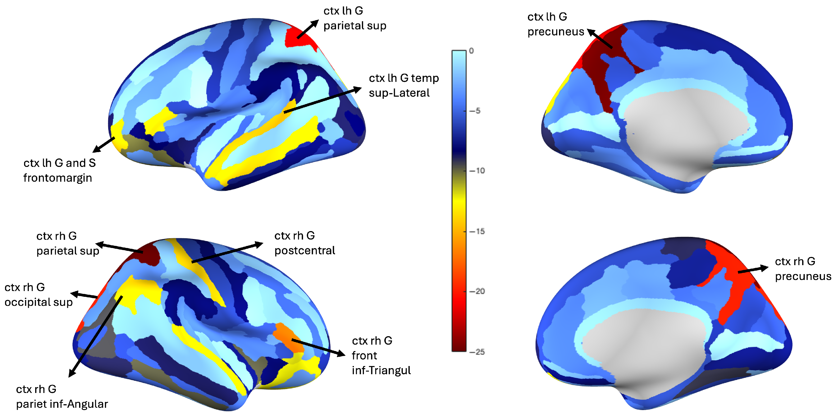 Bioengineering 12 00819 g005