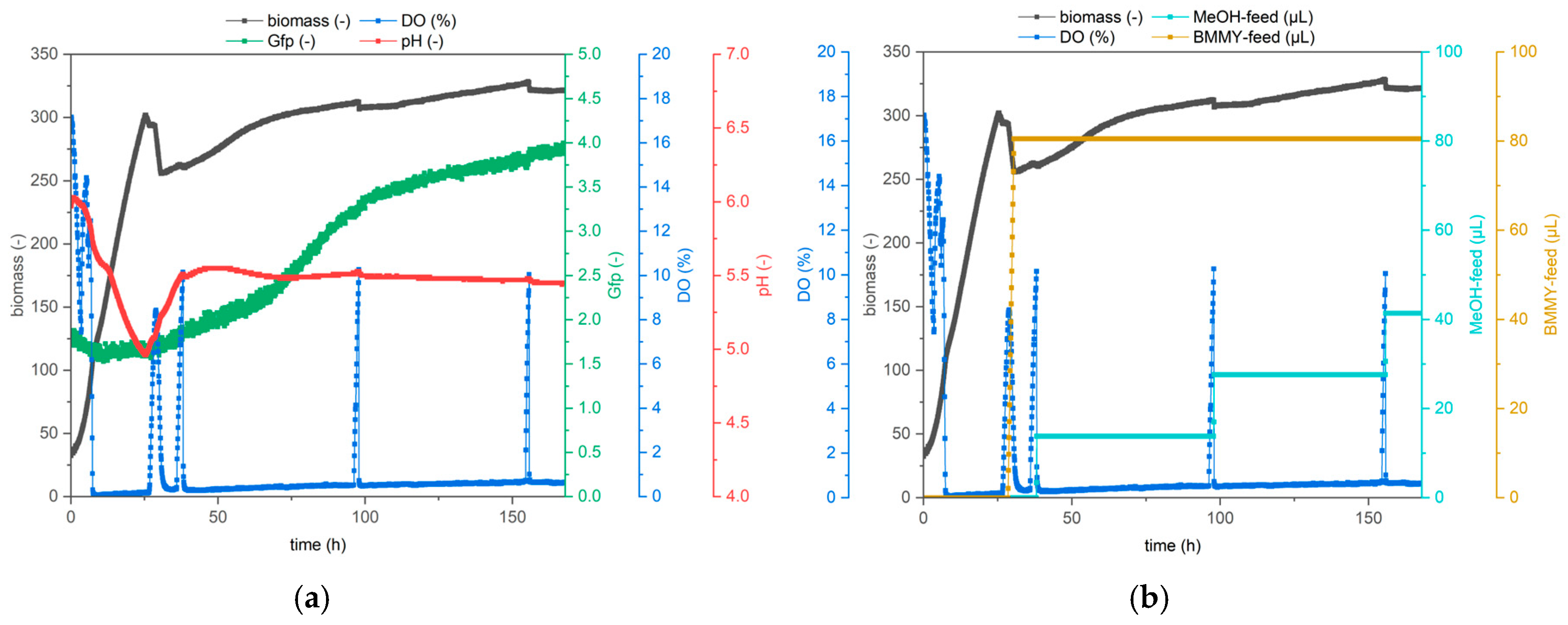 Bioengineering 12 00822 g005