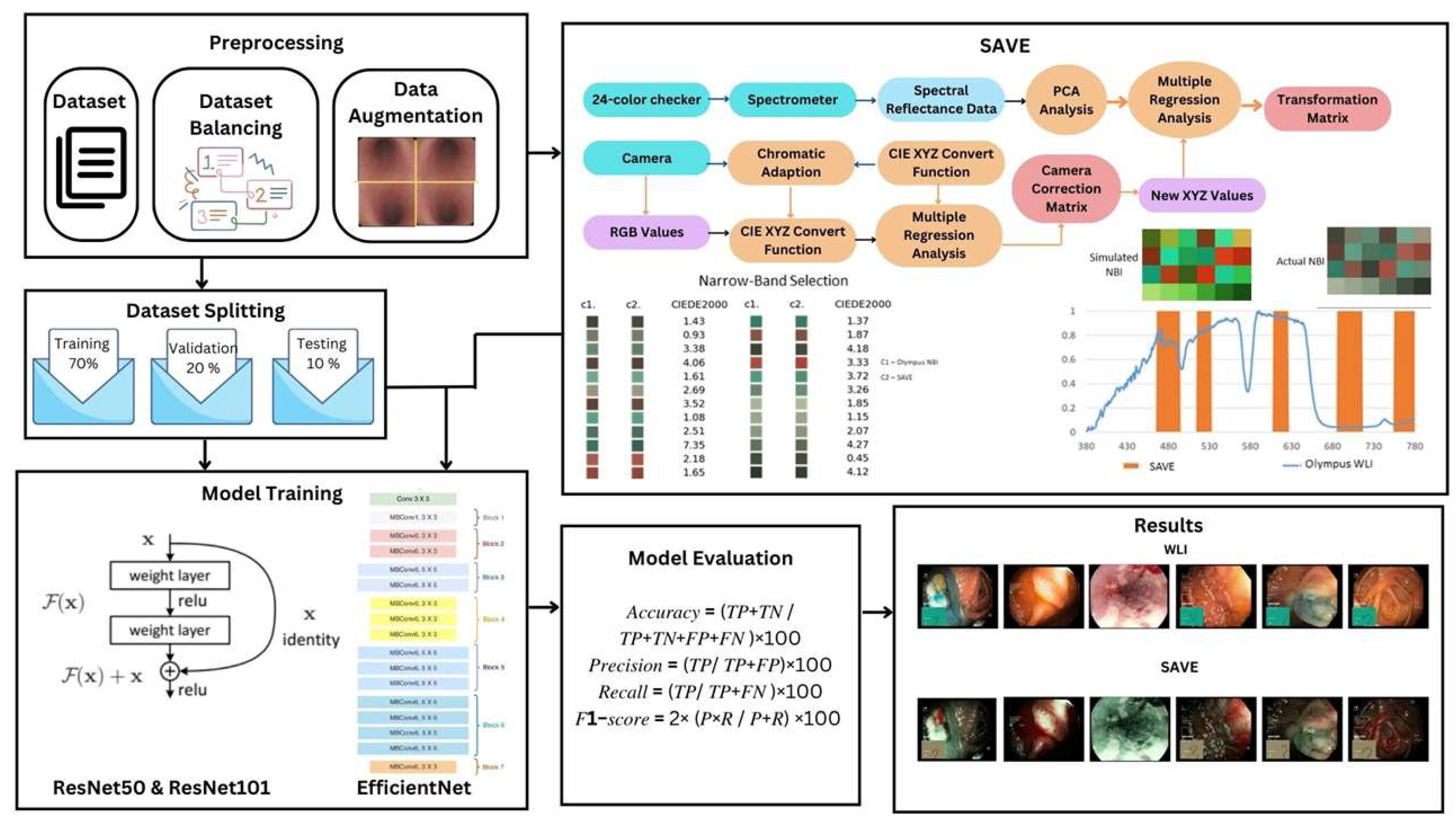 Bioengineering 12 00828 g001