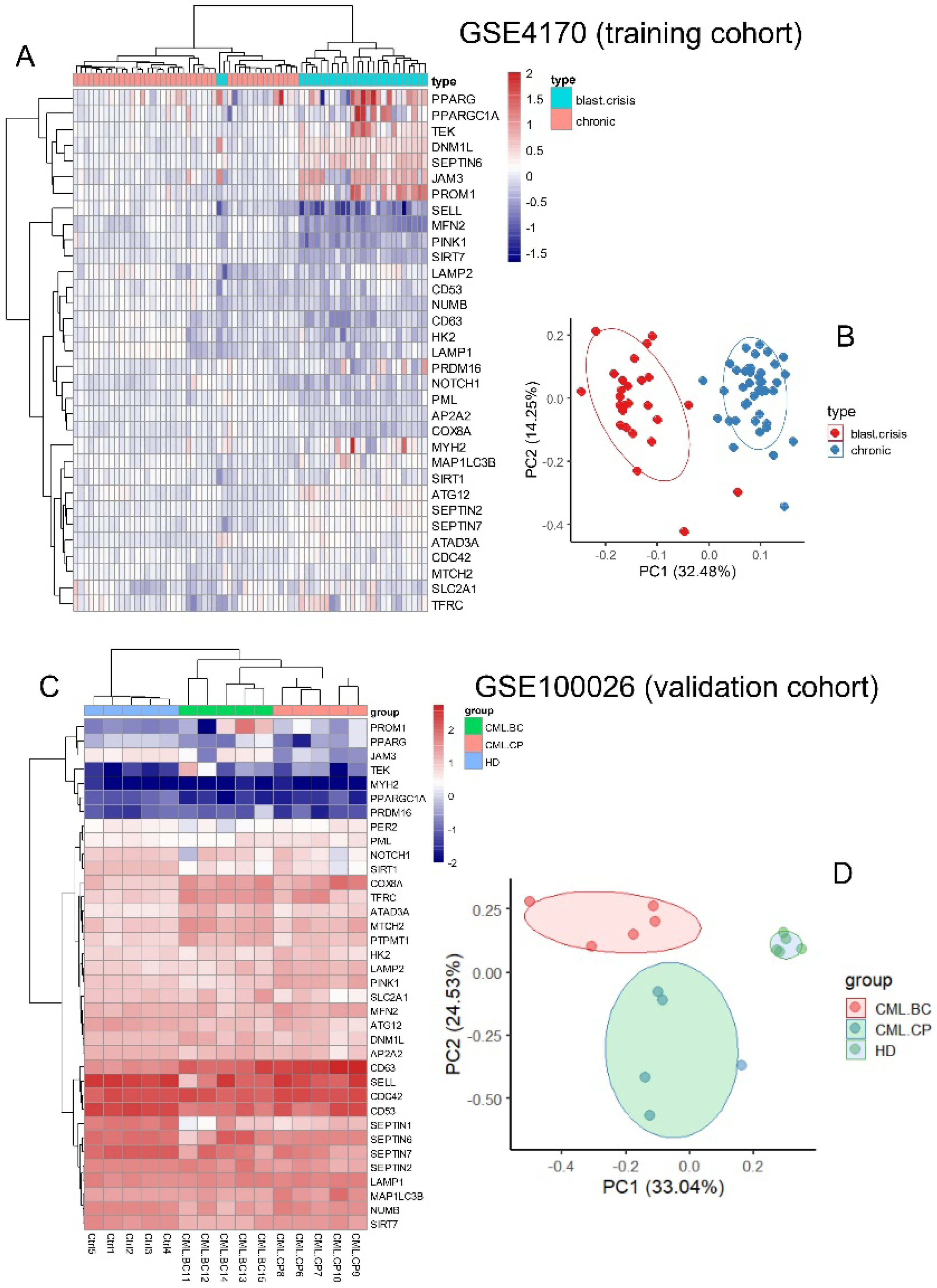 Bioengineering 12 00830 g002
