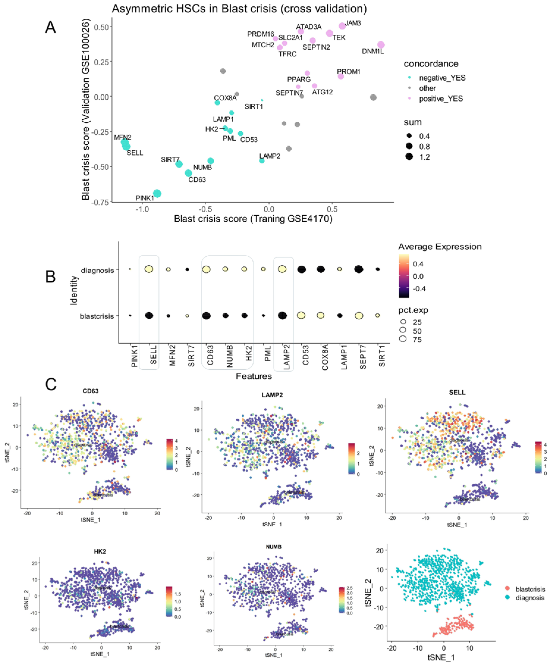 Bioengineering 12 00830 g003