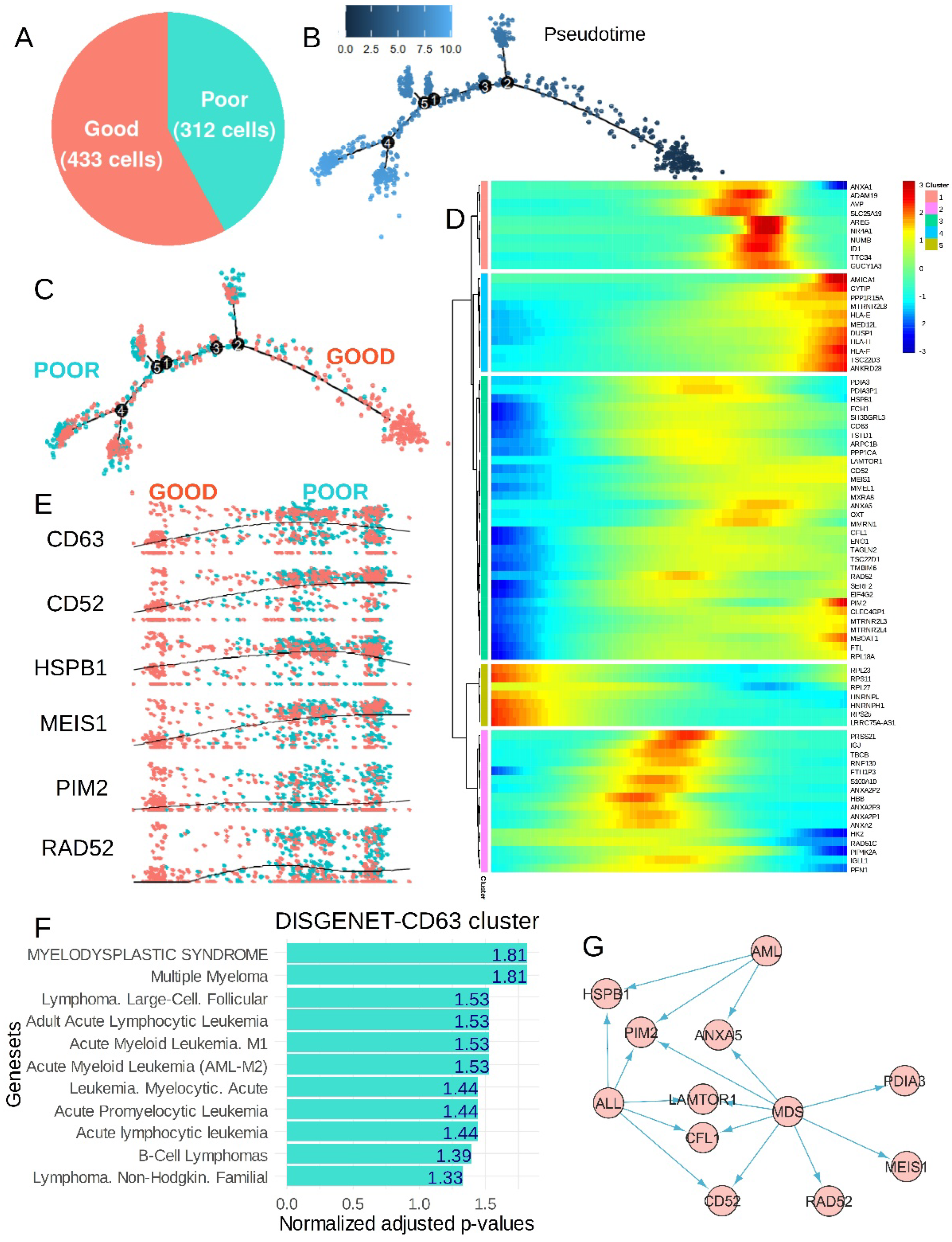 Bioengineering 12 00830 g006
