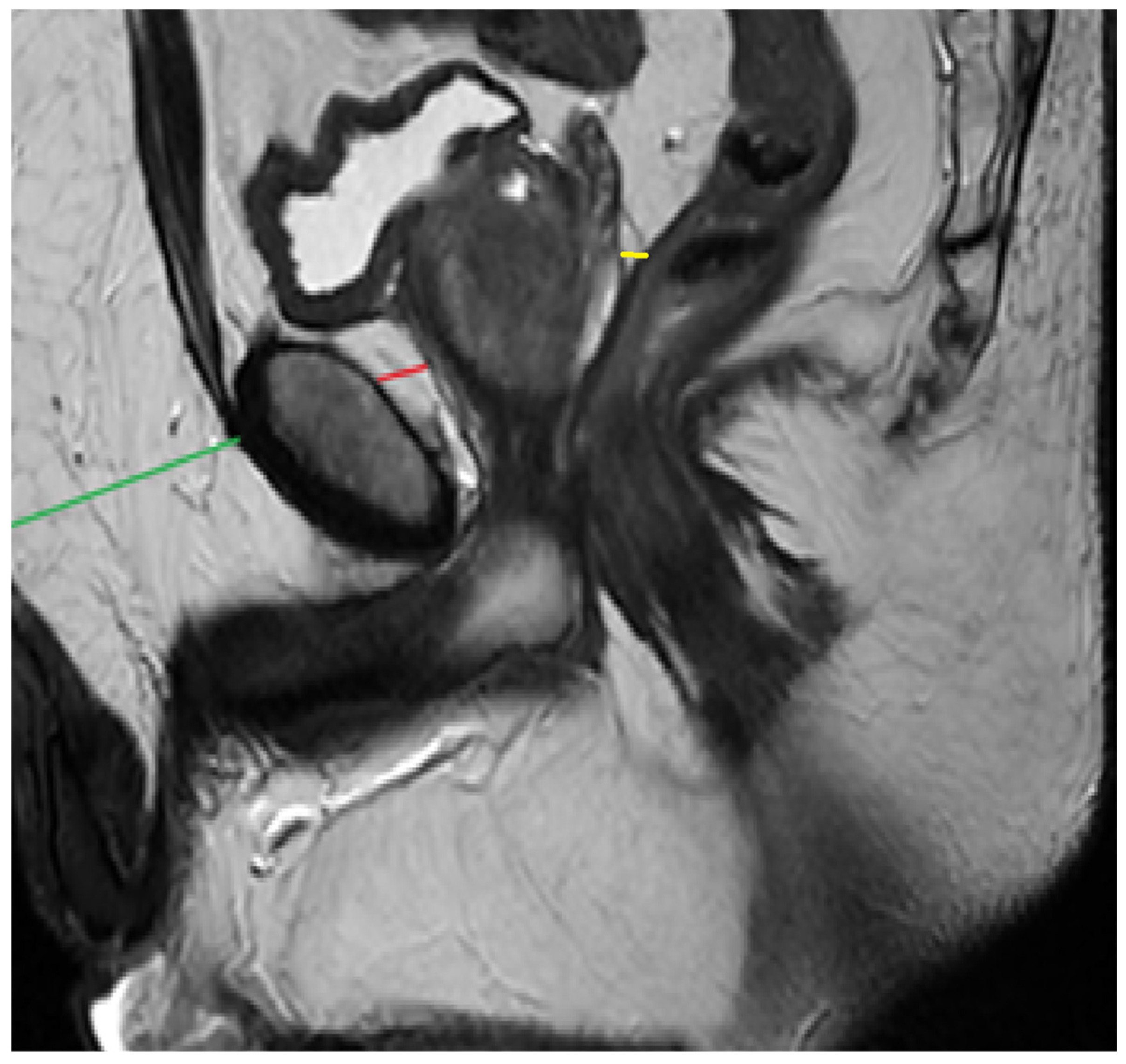 Bioengineering 12 00831 g002