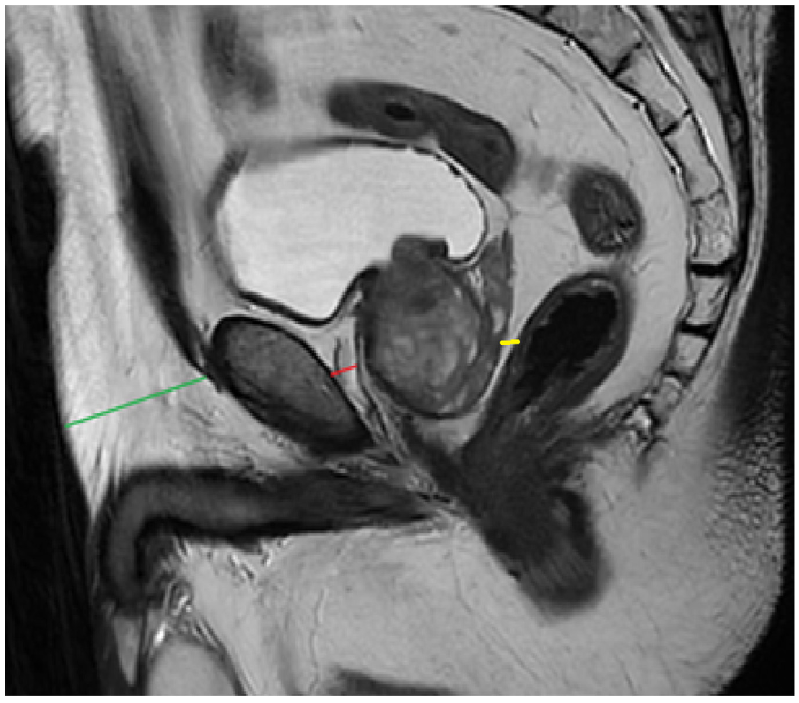 Bioengineering 12 00831 g003
